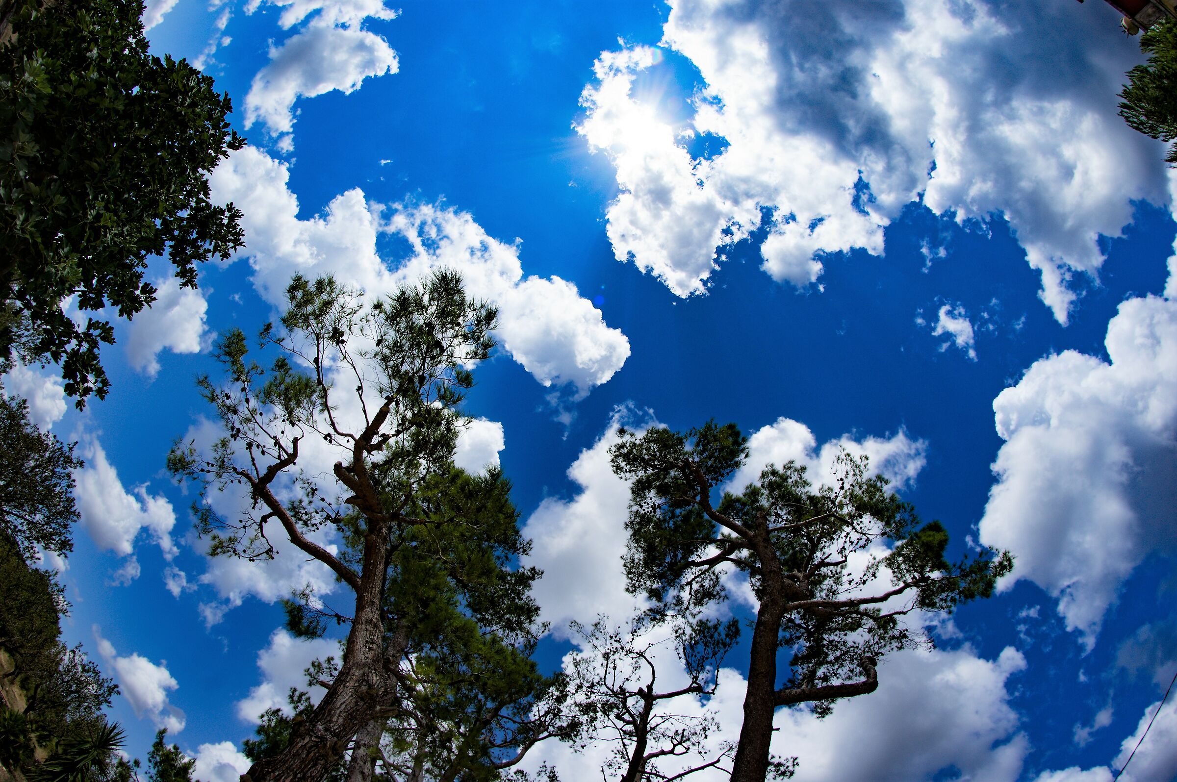 blue sky