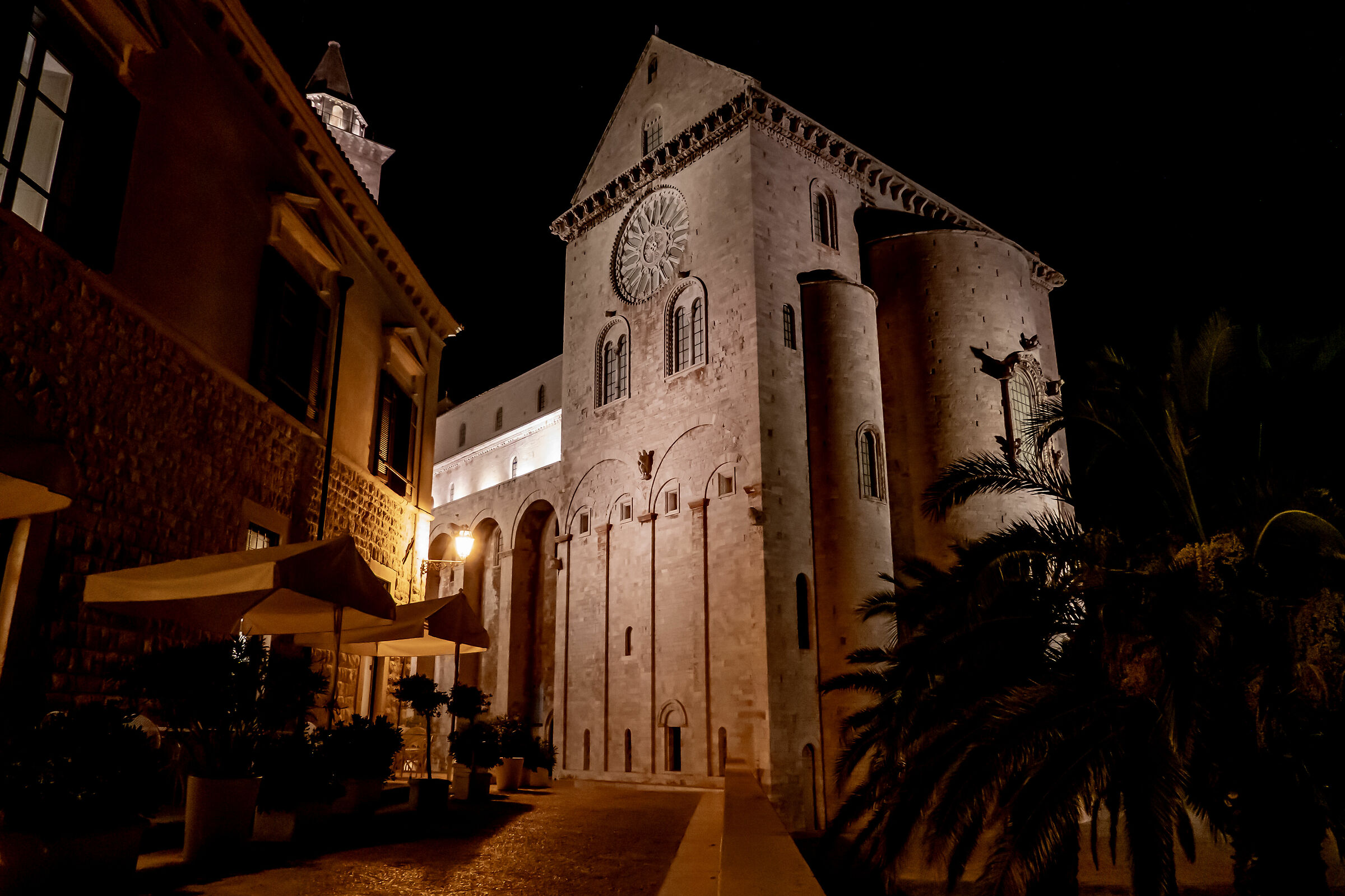 Trani by night