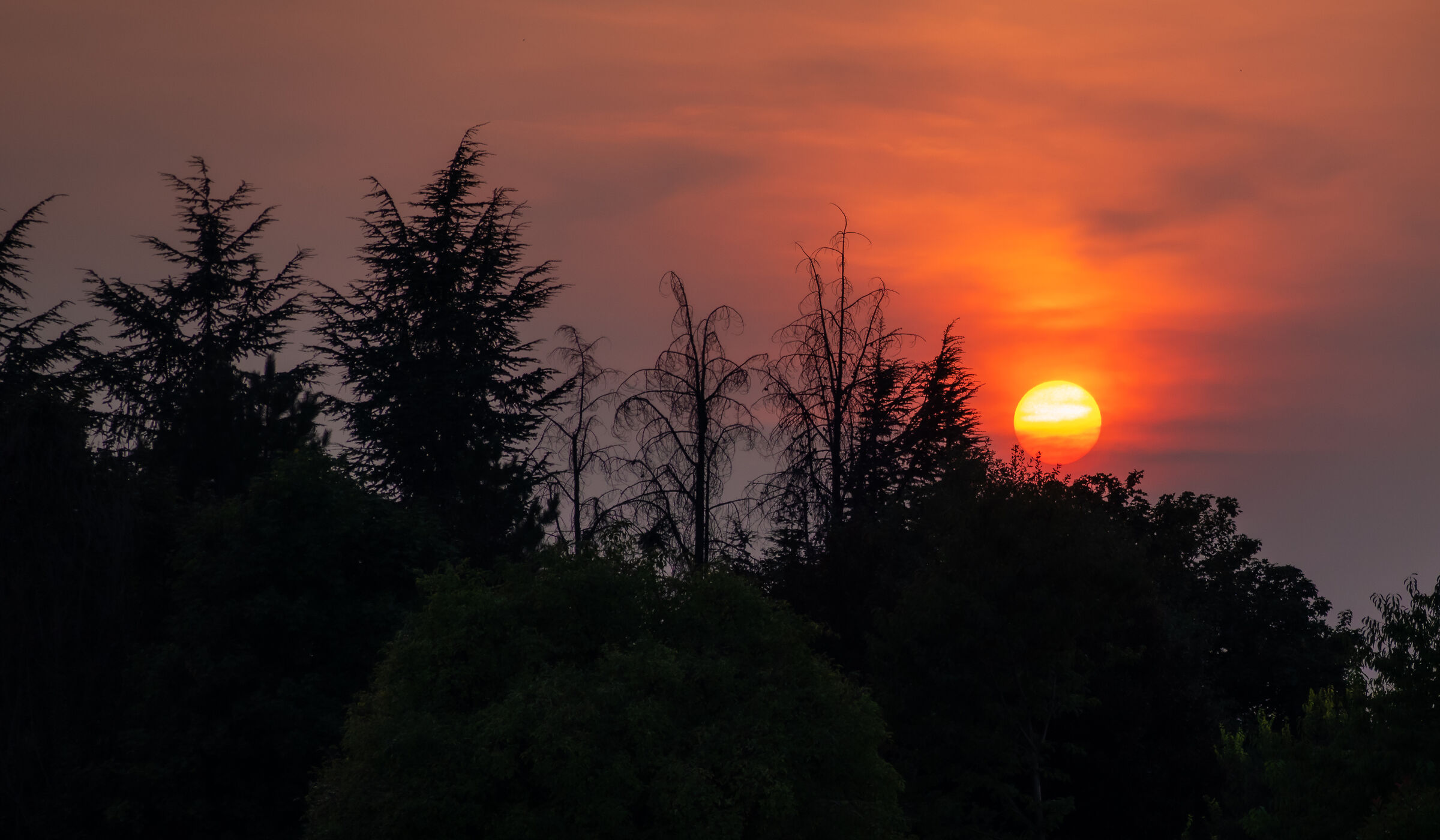 Sunset in brianza