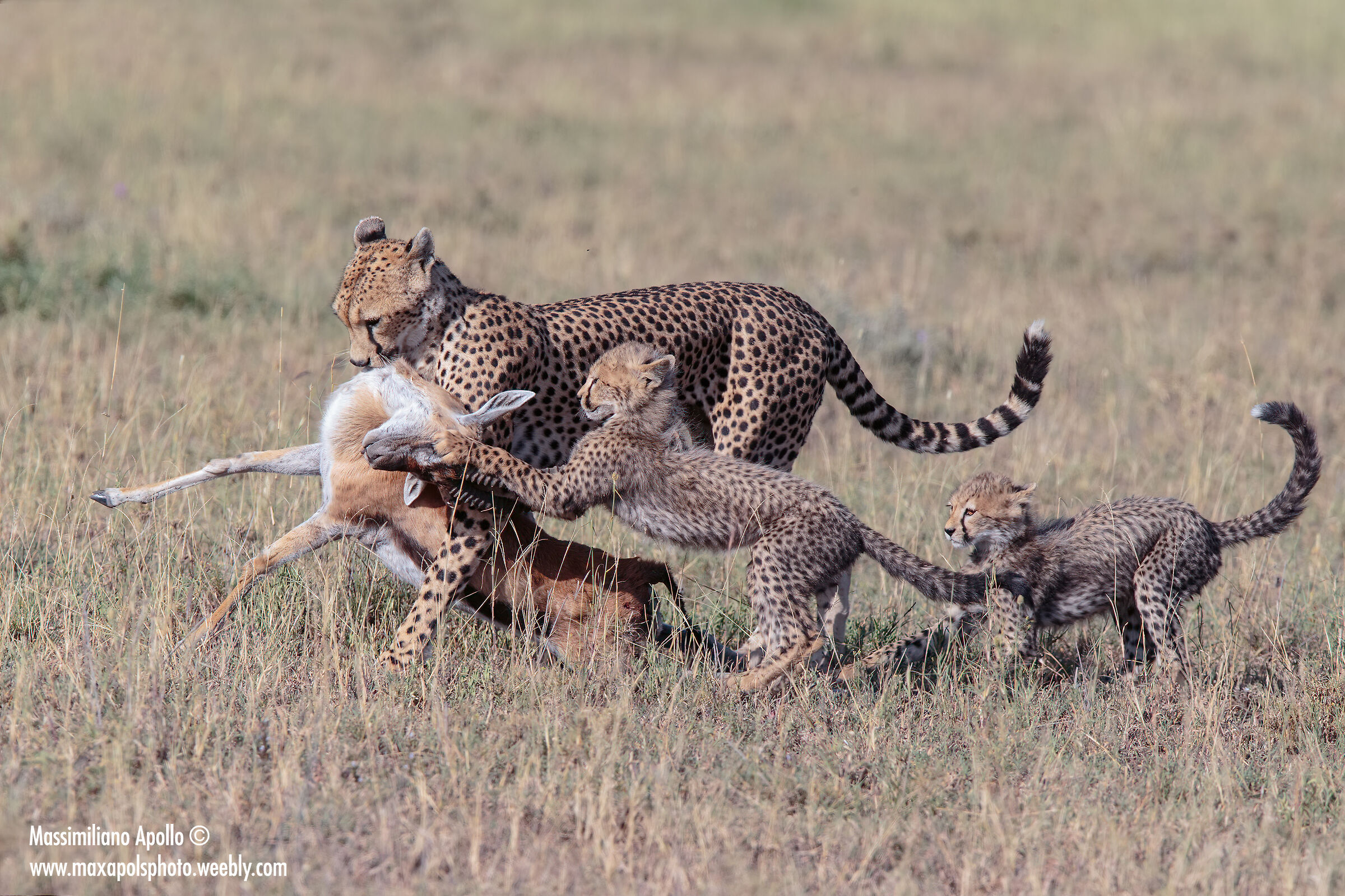 lezione di sopravvivenza...