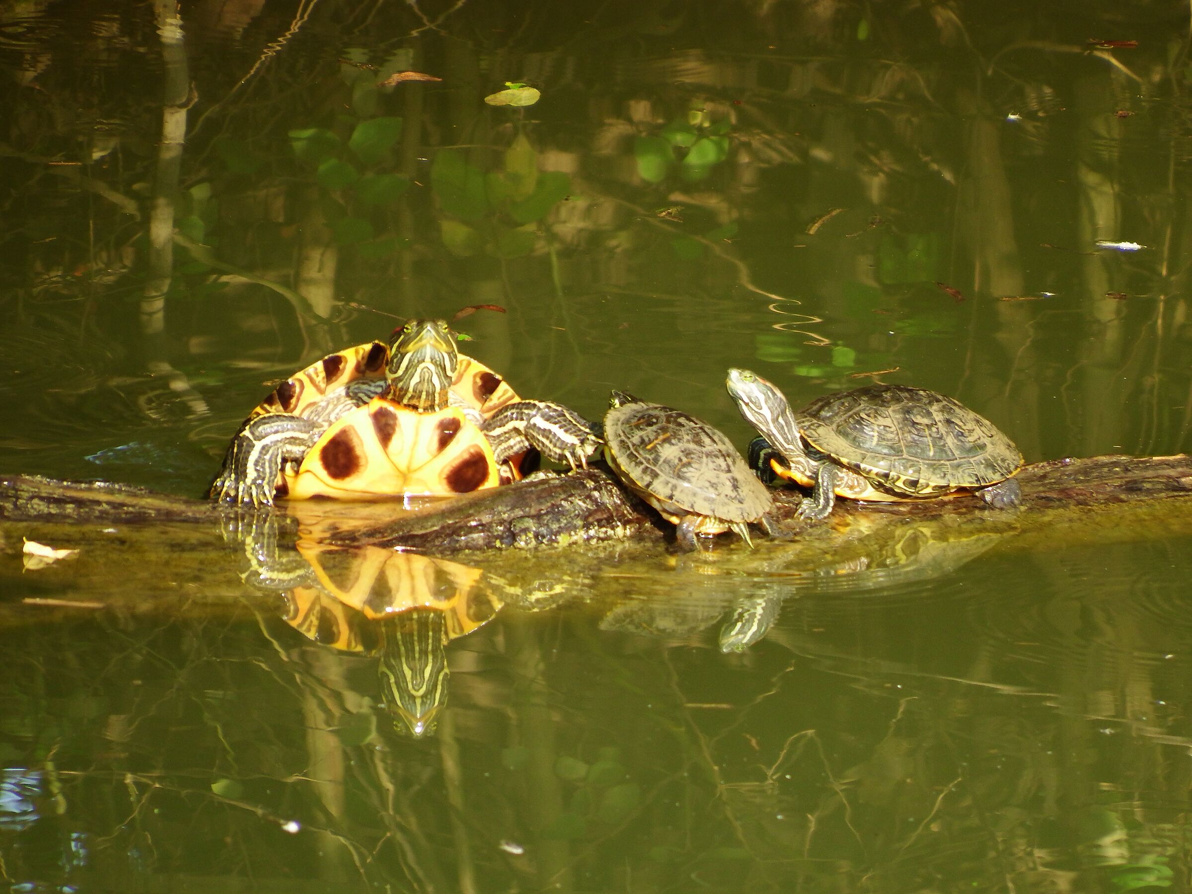 Domenica in spiaggia