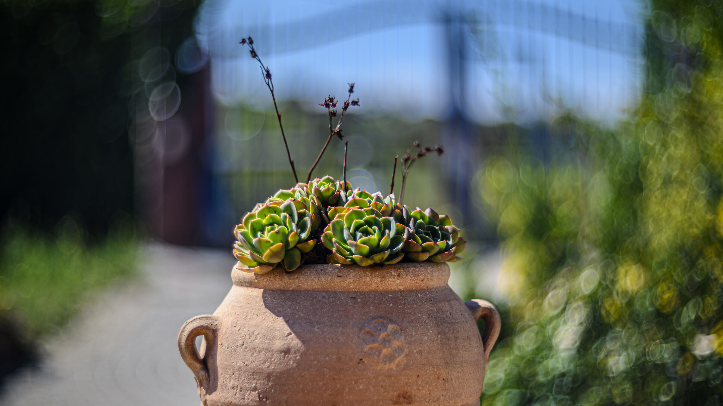 vase