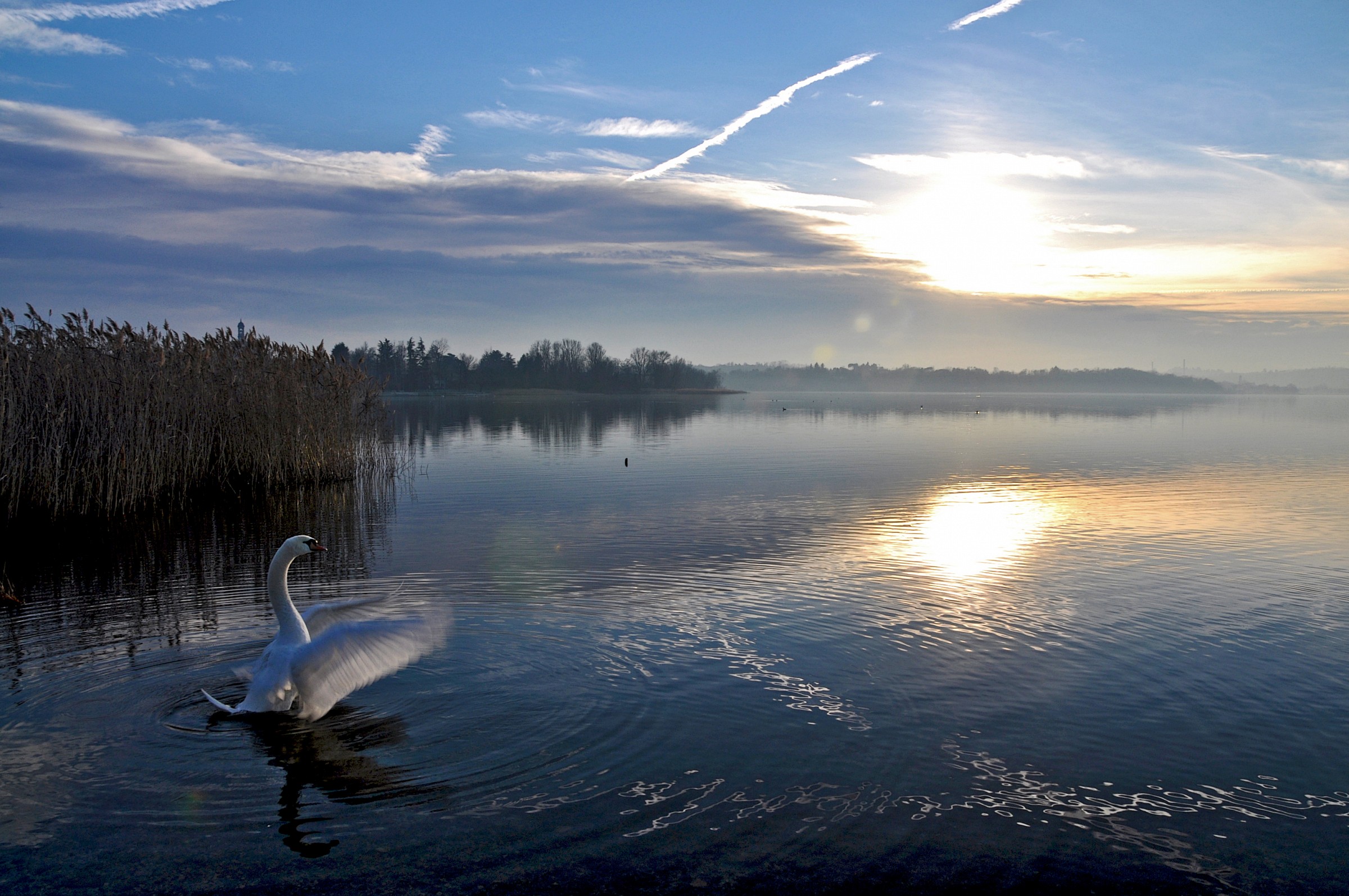 The song of the Swan