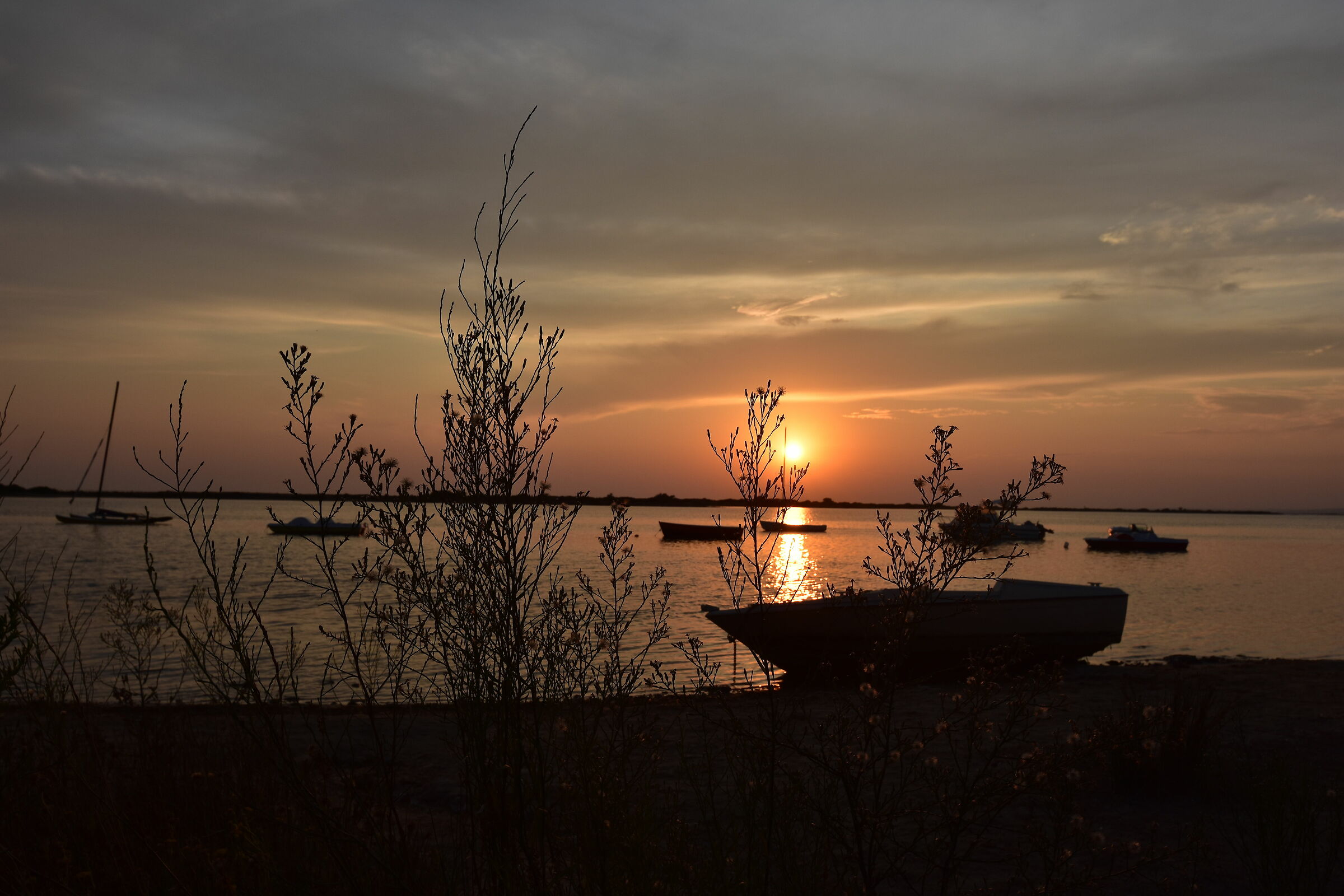 Untitled Photo