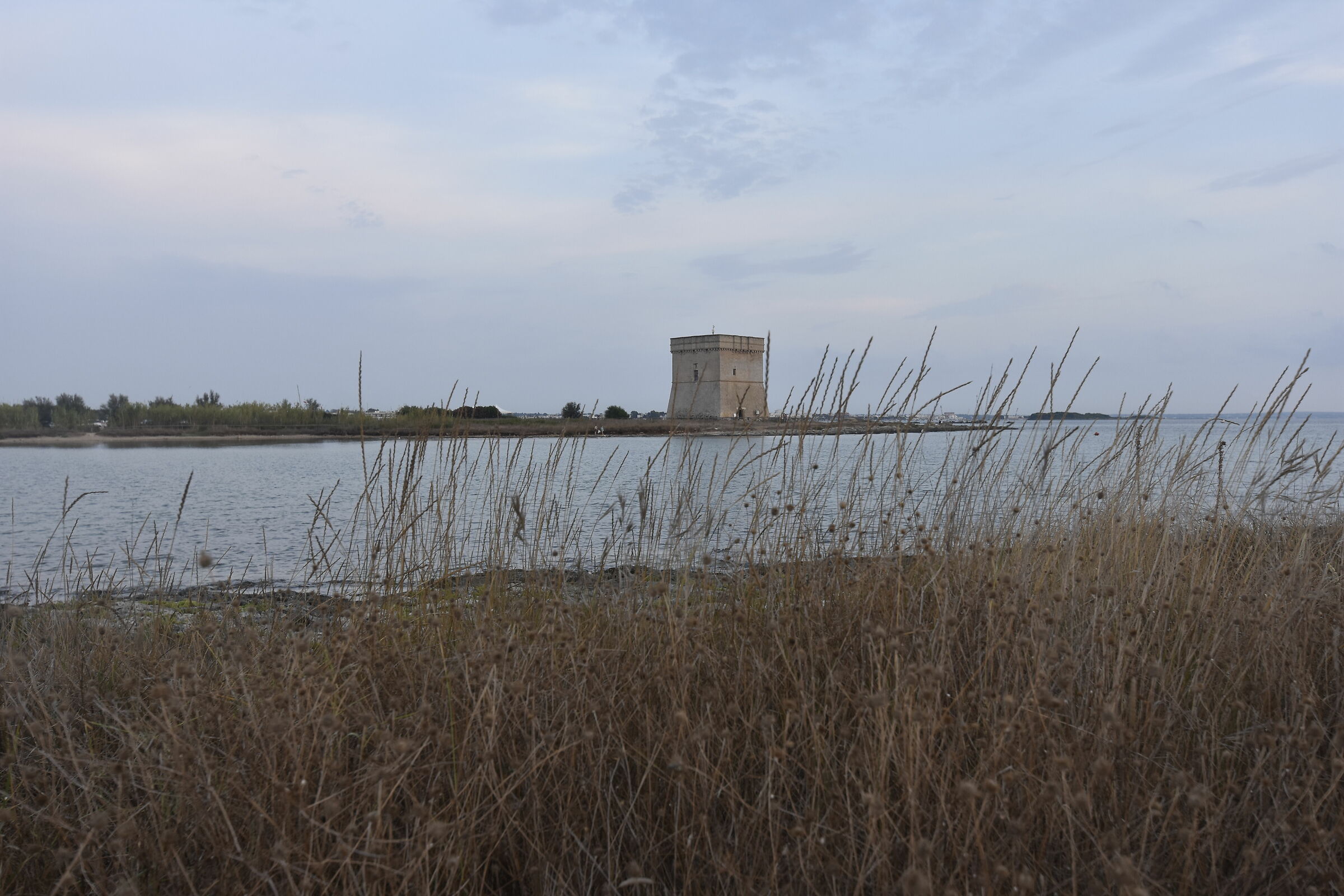 Untitled Photo