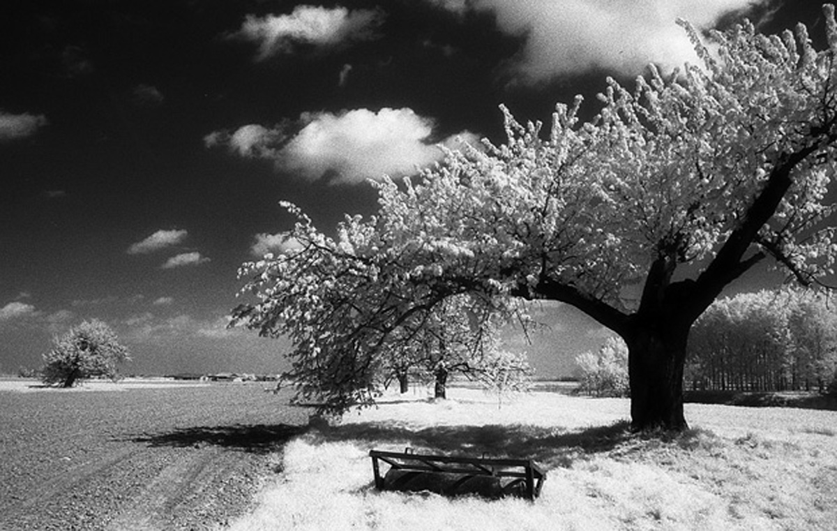 n4-  Pianura padana - Kodak infrared Contax rx