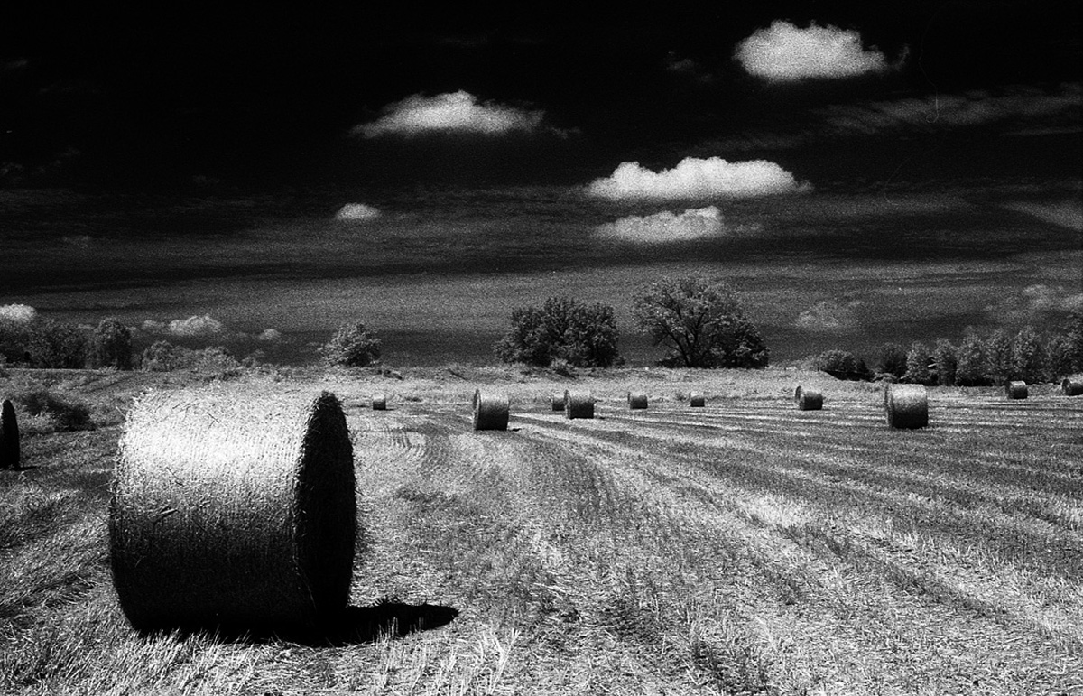 n5 Pianura padana 2 - Kodak infrared Contax rx