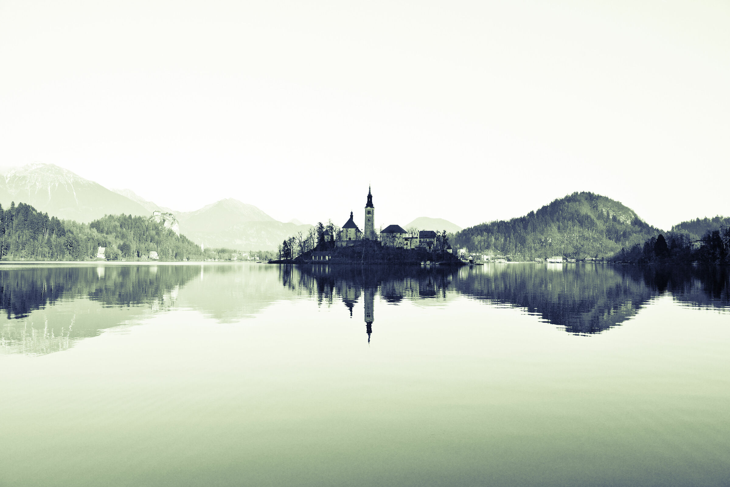 Bled
