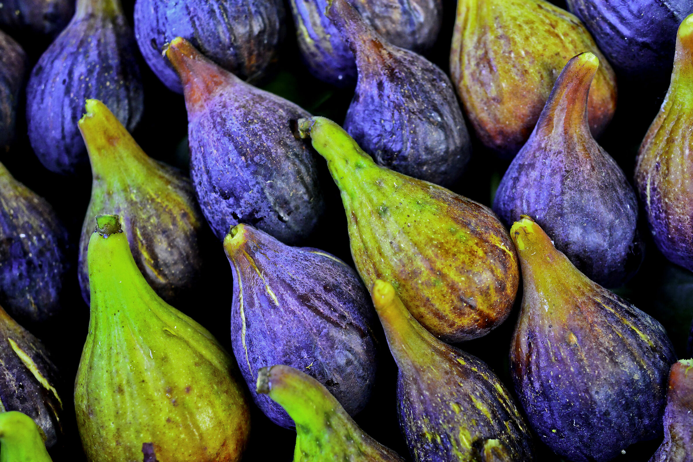 Figs