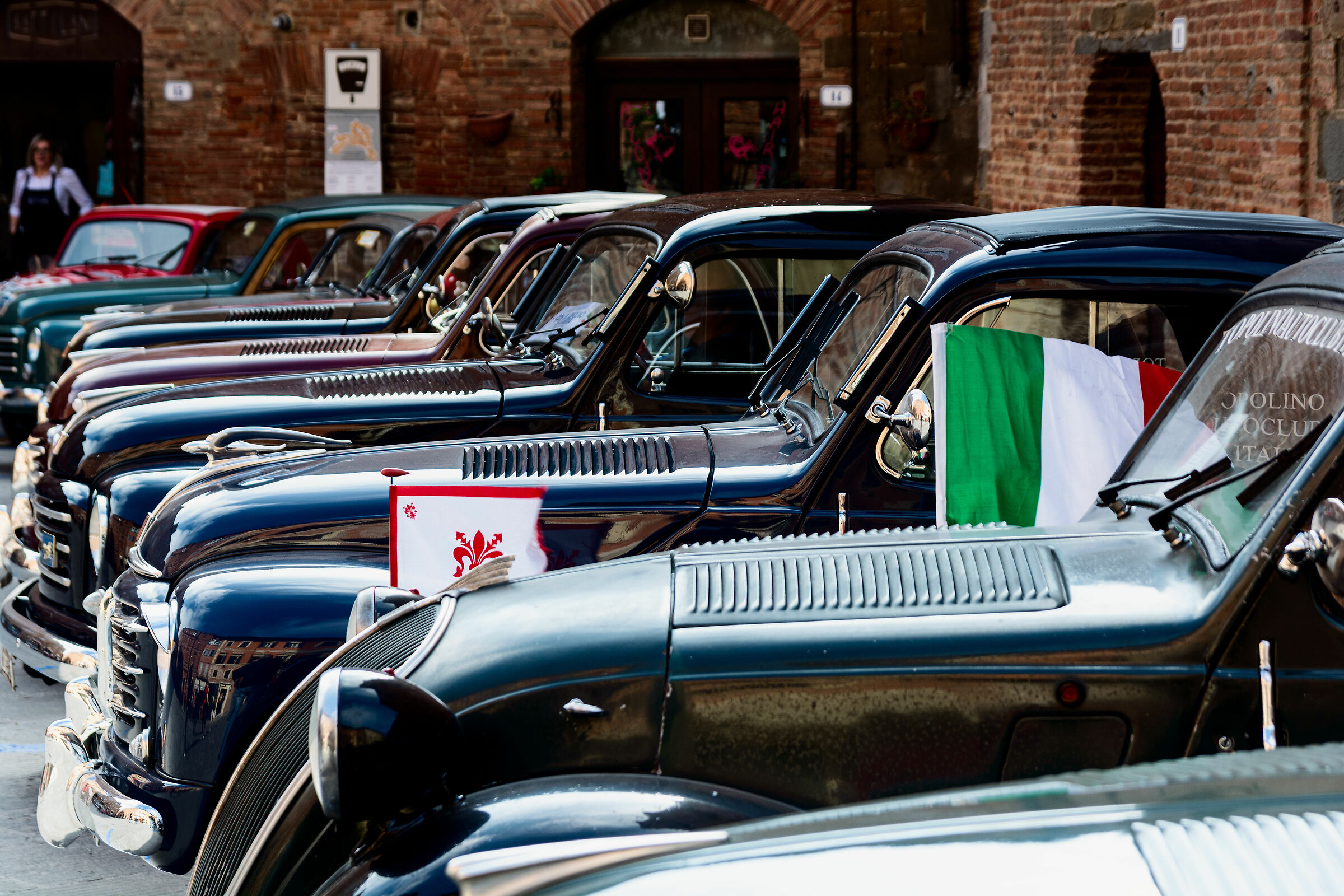 topolini a citta' della pieve 5