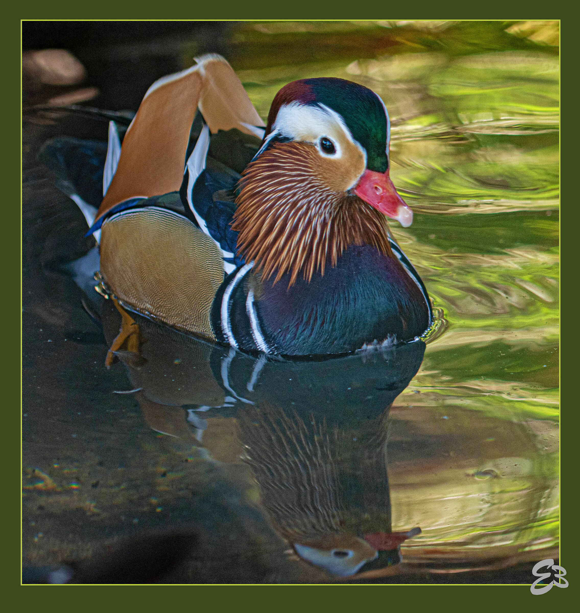 The bride duck bath.