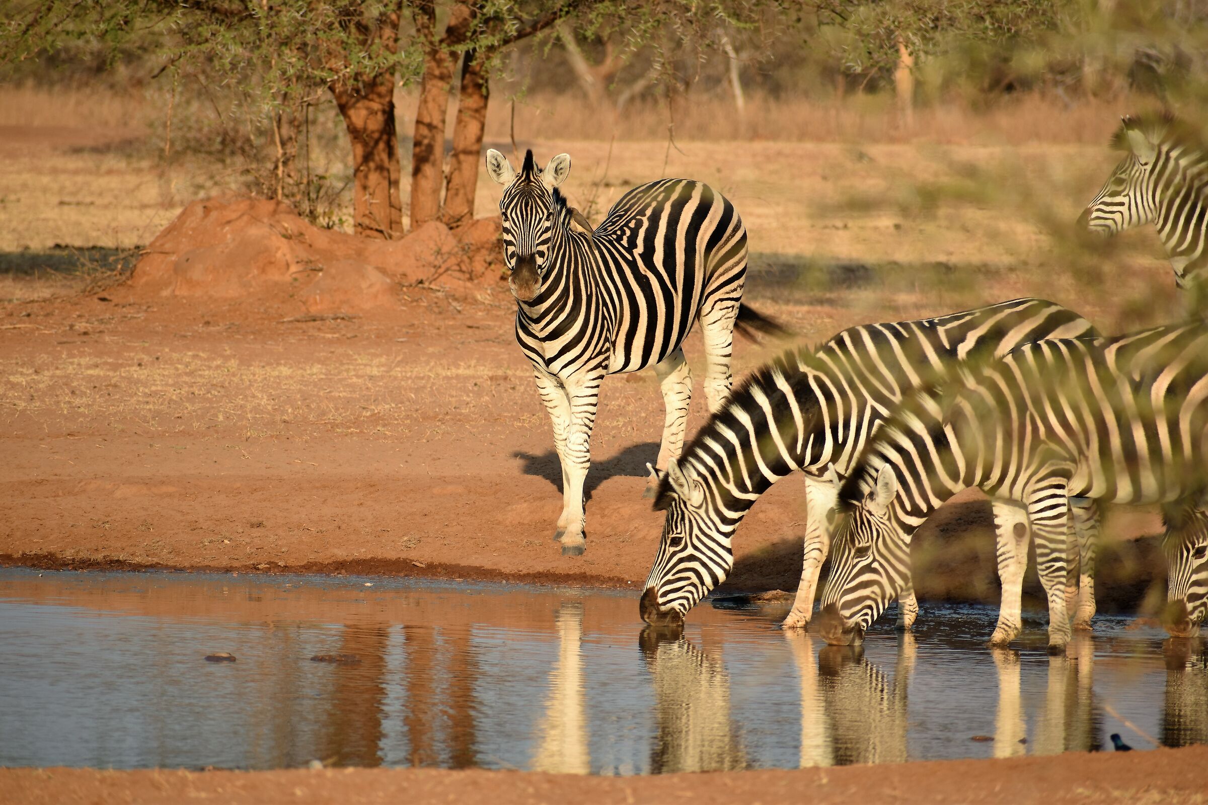 Come un oasi nel deserto