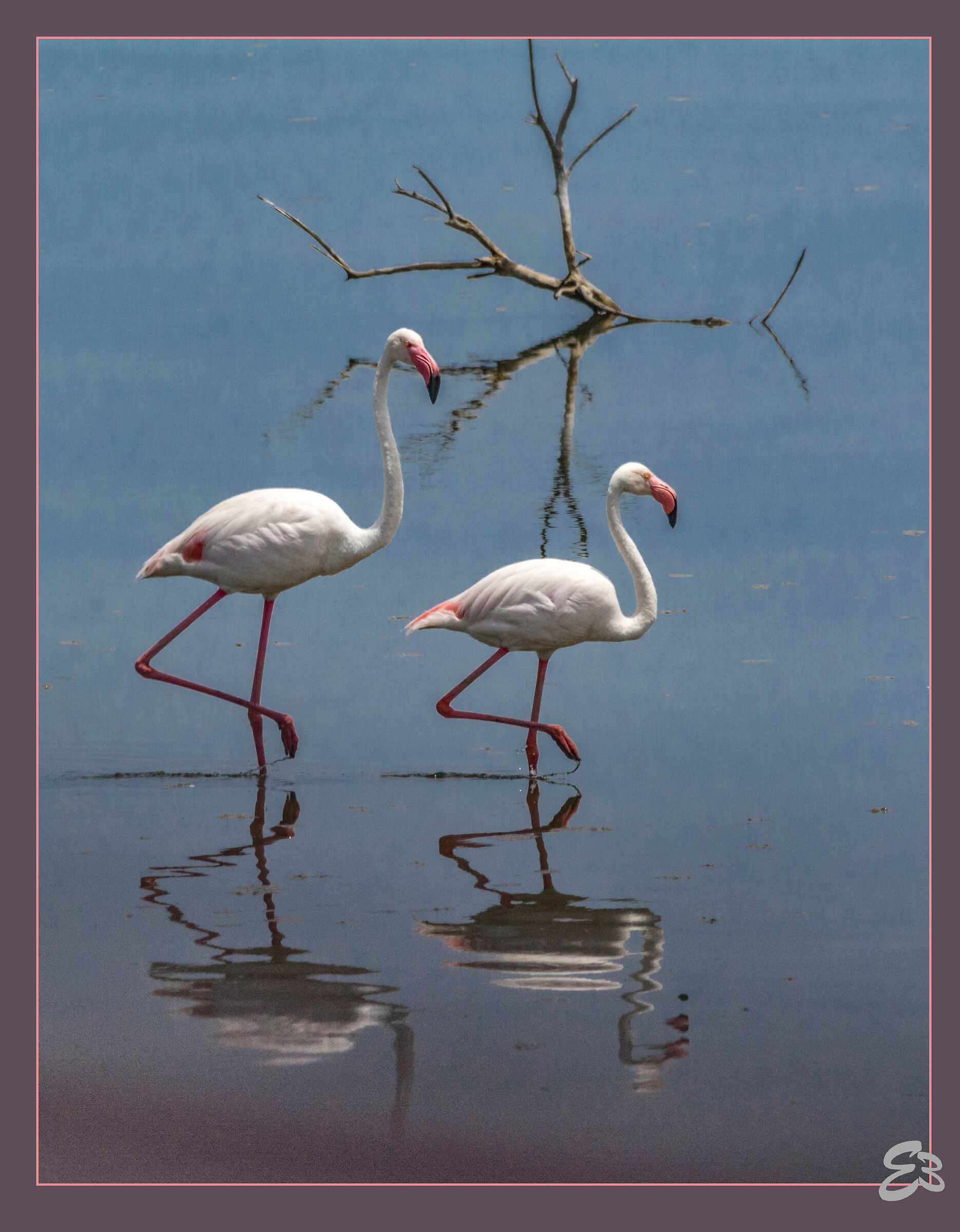 Love is.... Synchronicity