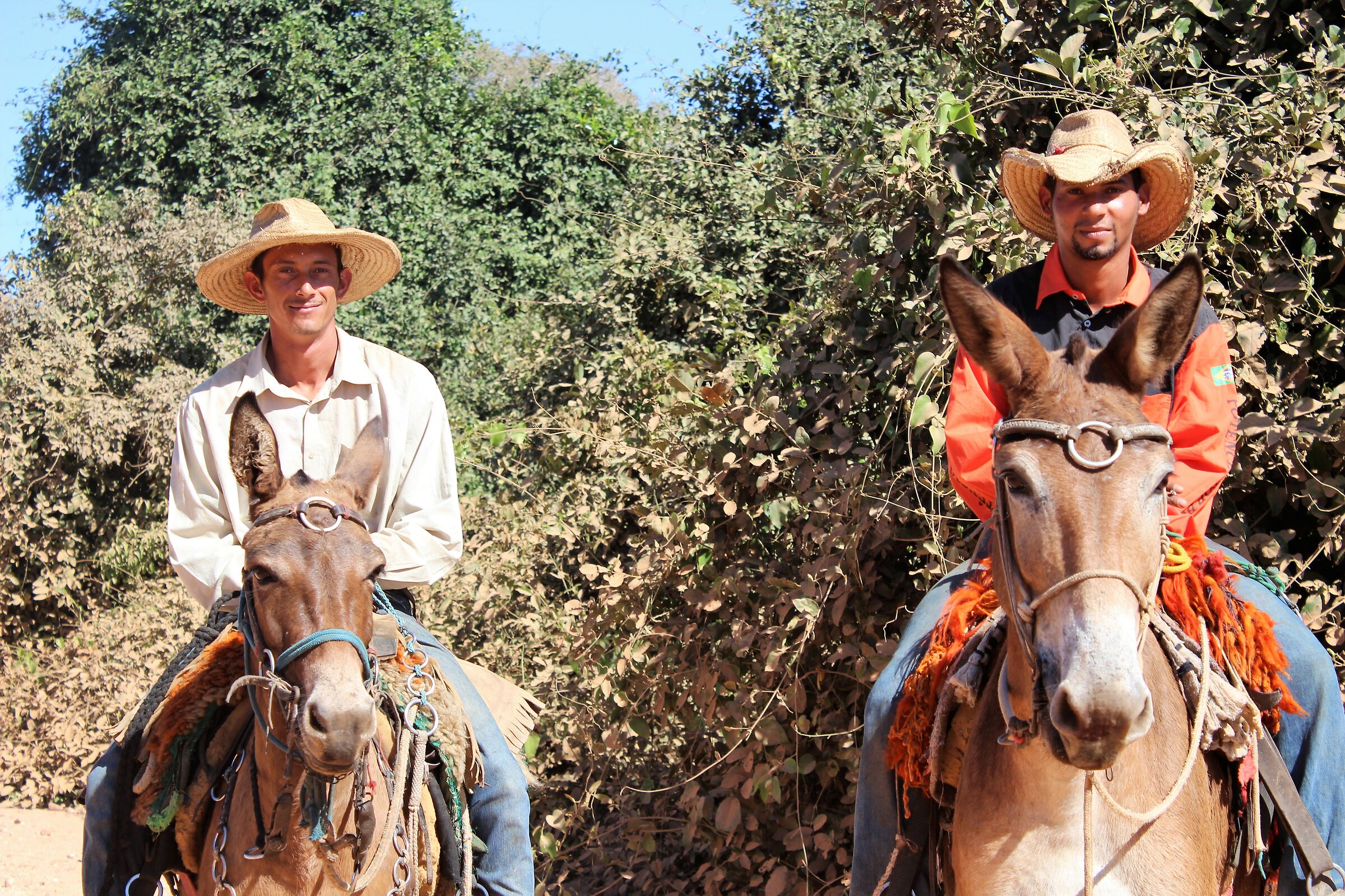 Pantaneiros a cavallo