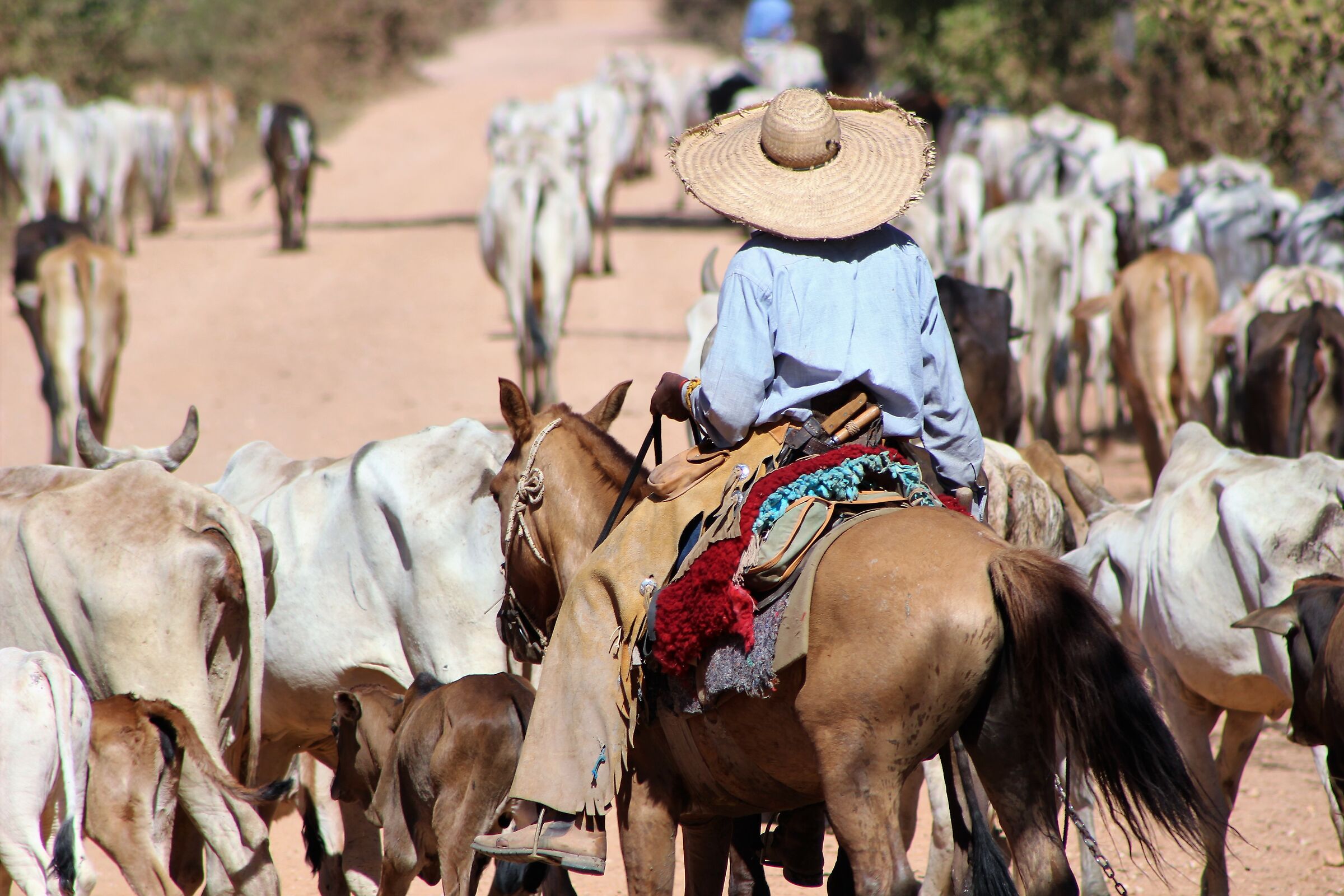 Dove il tempo si è fermato!