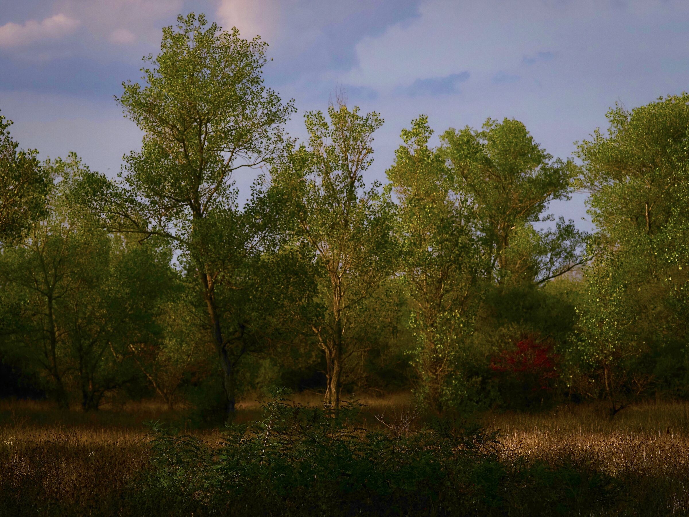 A margine d'autunno...