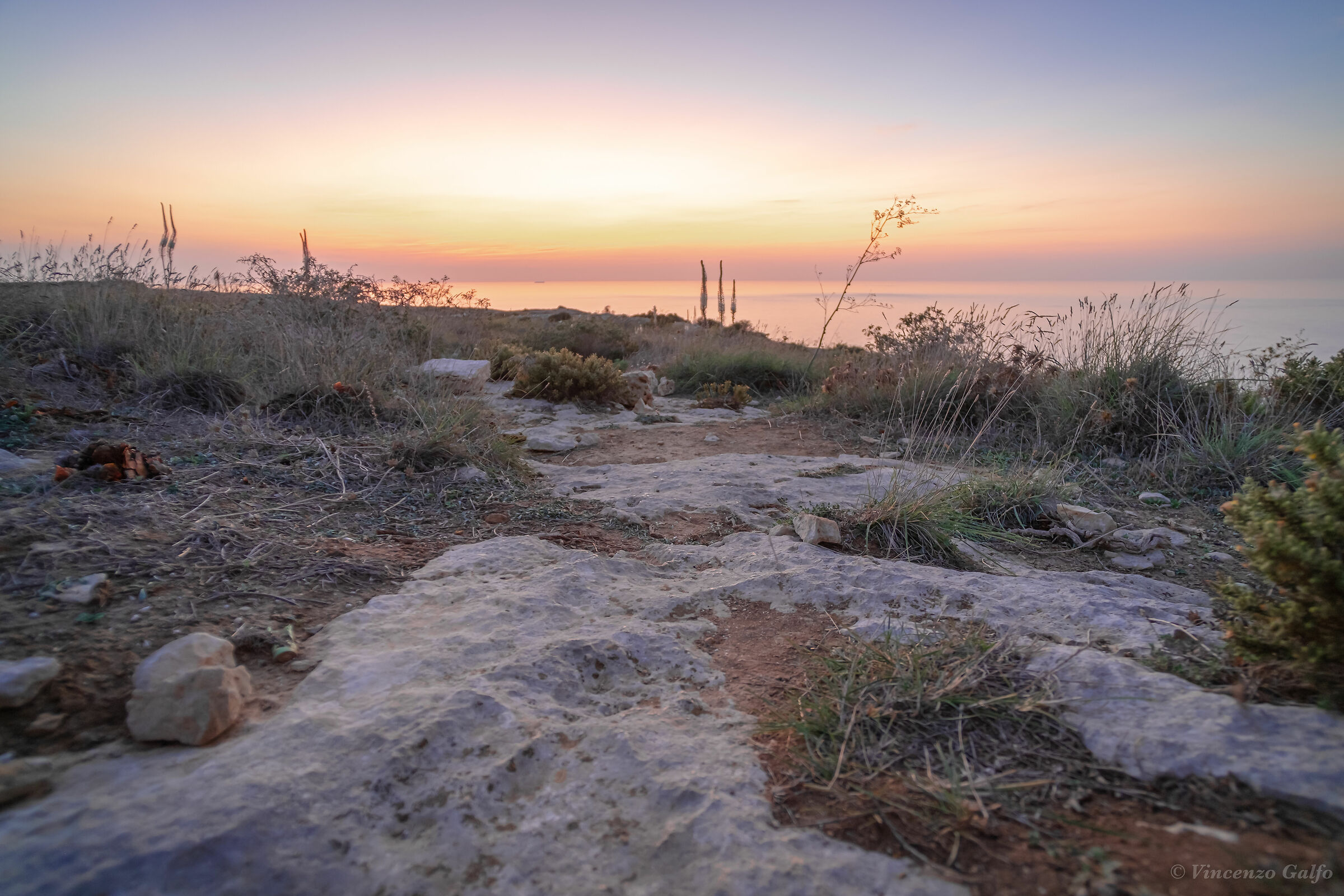Sunset Lampedusa Tree of Life