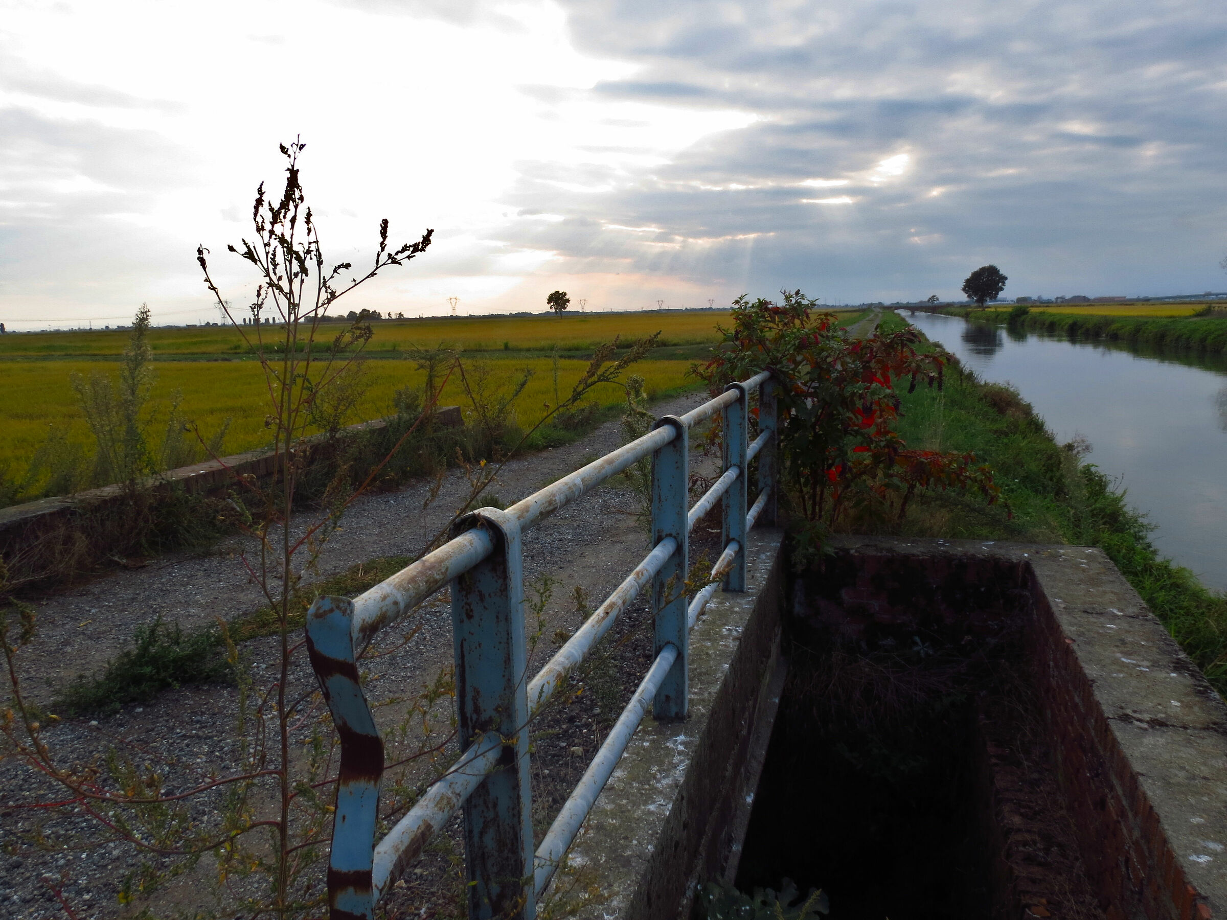 Il canale della padana