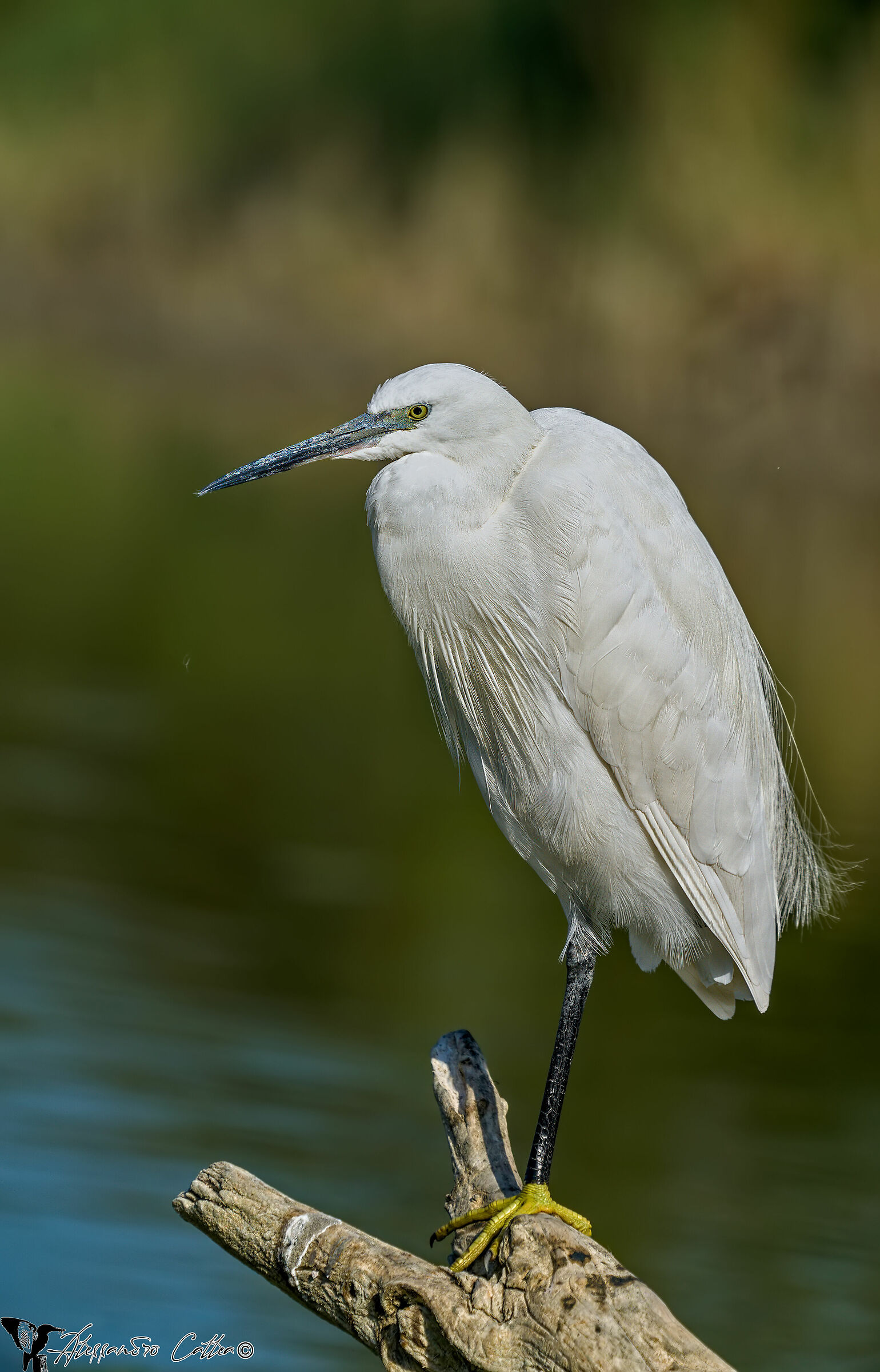 Un precario equilibrio...