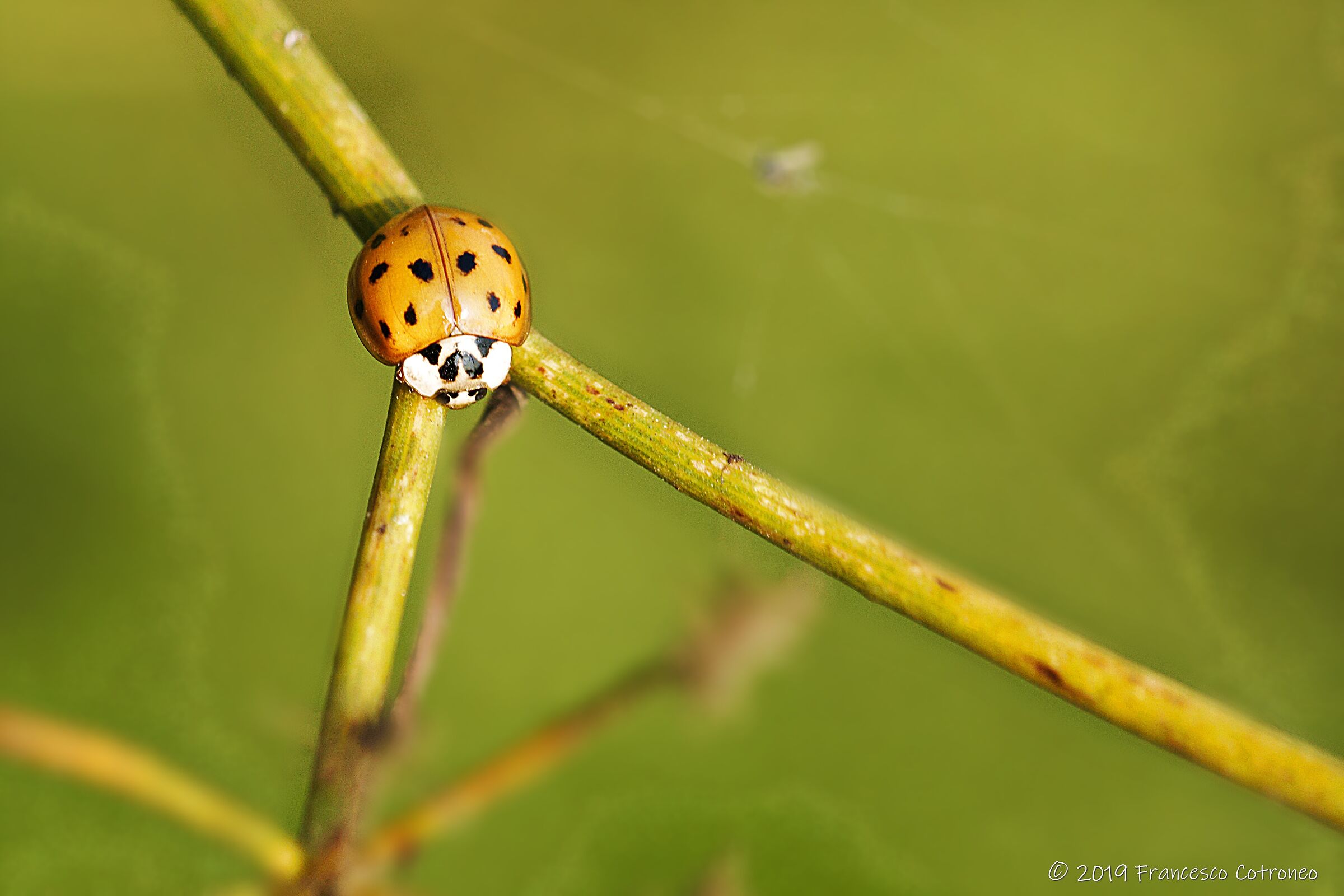 Al bivio... prima o poi si deve scegliere!