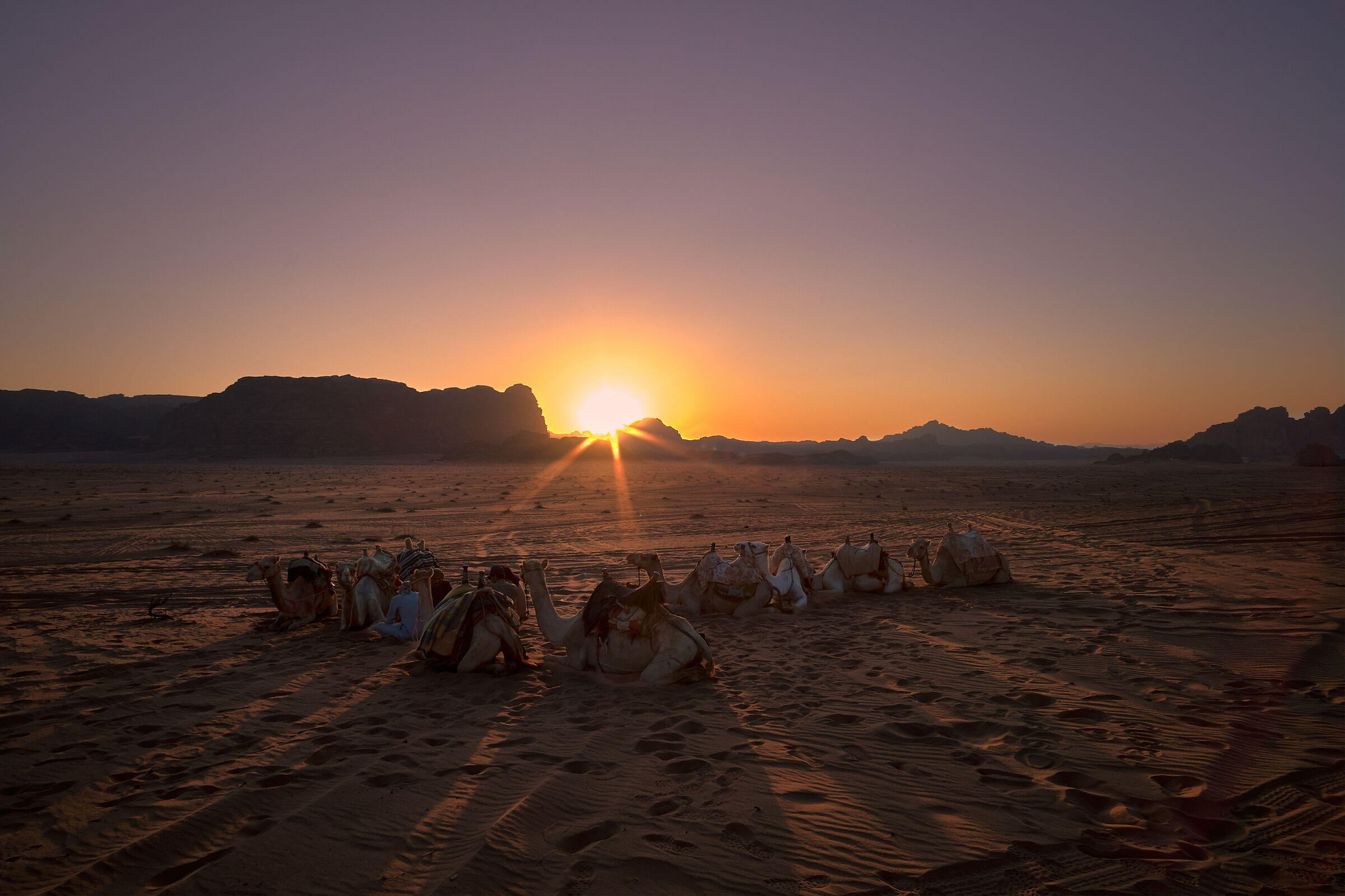 Desert Sunset - Wadi Rum