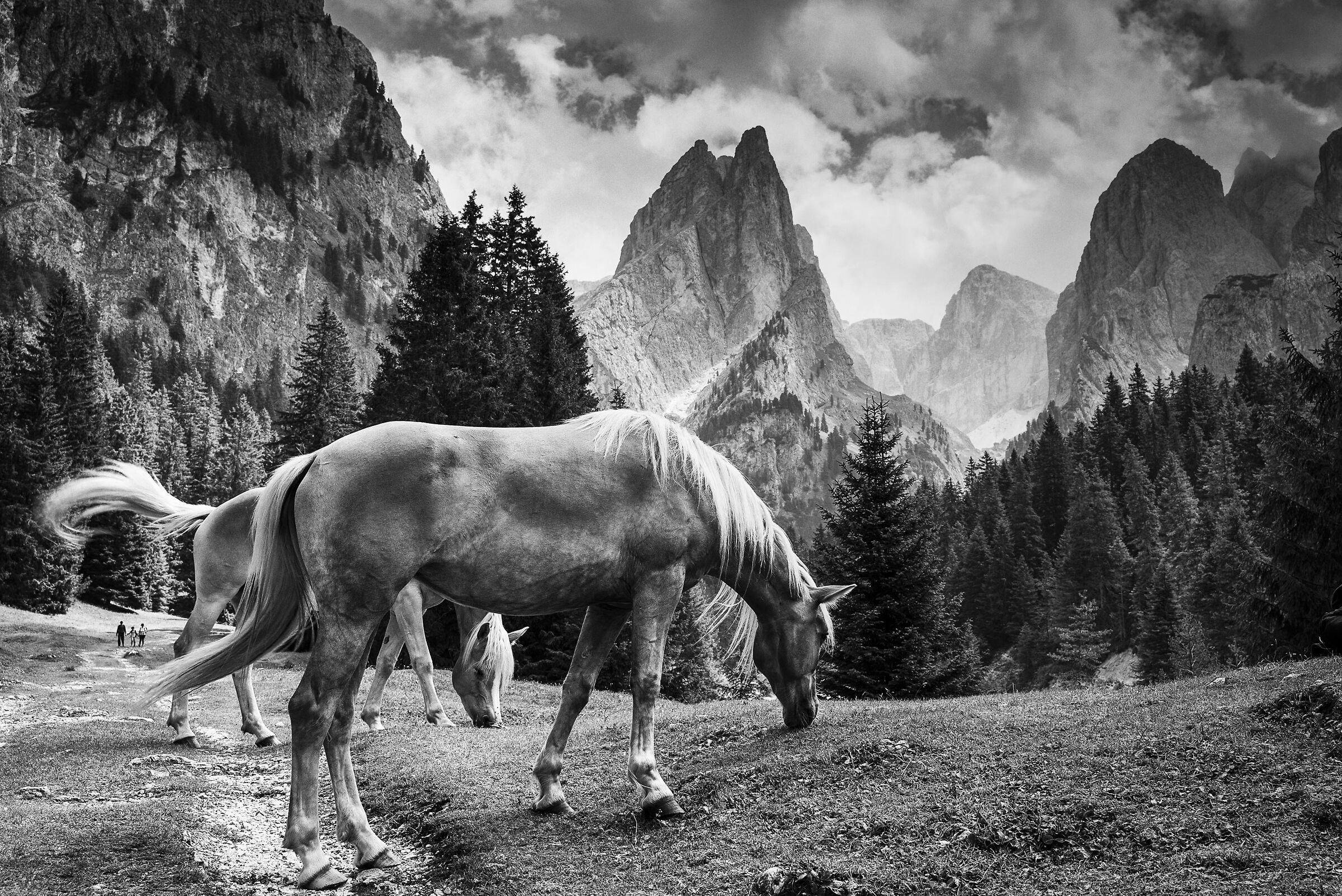 Val Ciamin, Gruppo del Catinaccio