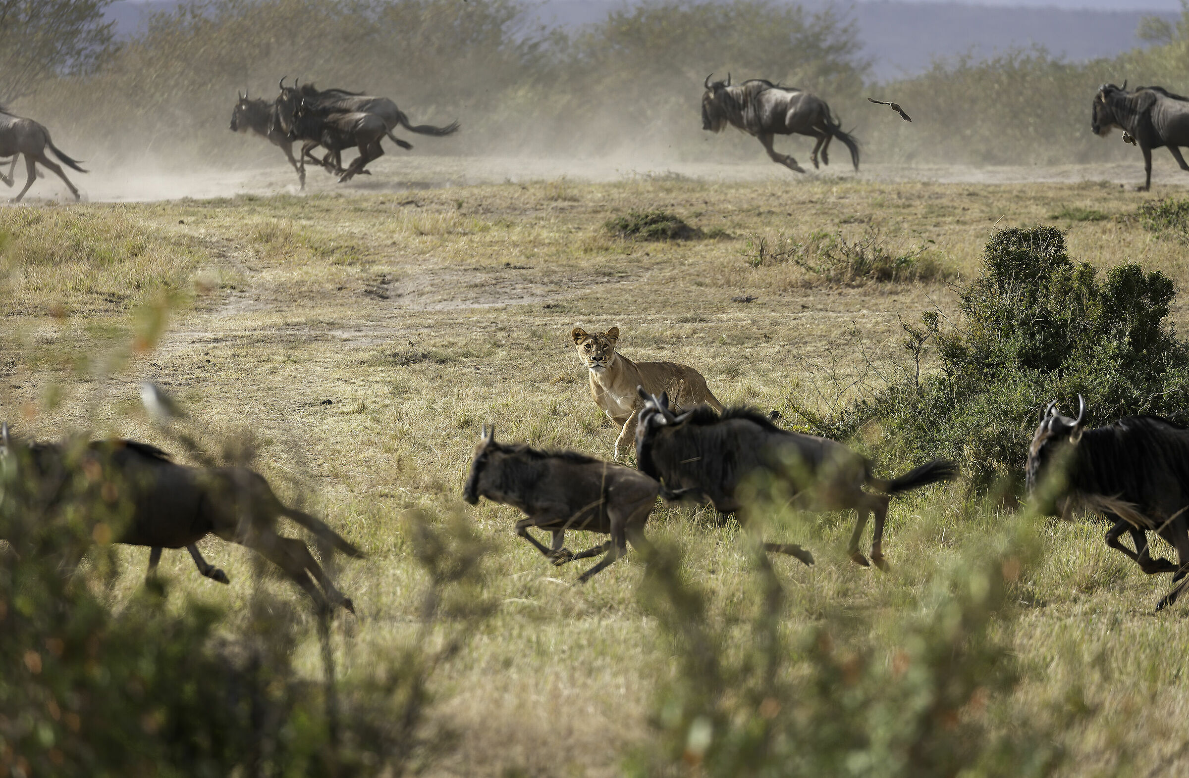 The beginning of the attack