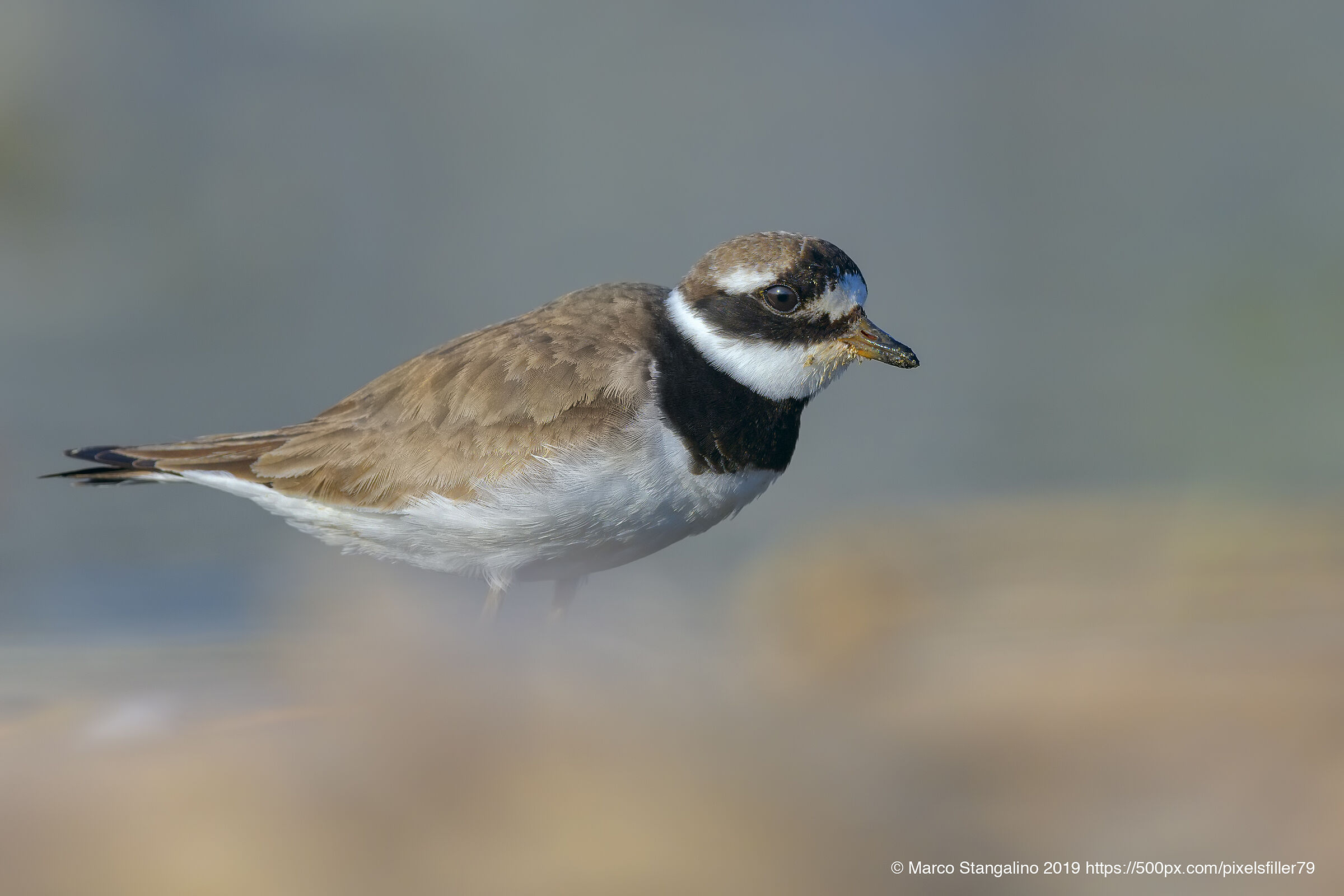 Dust on the Beach...