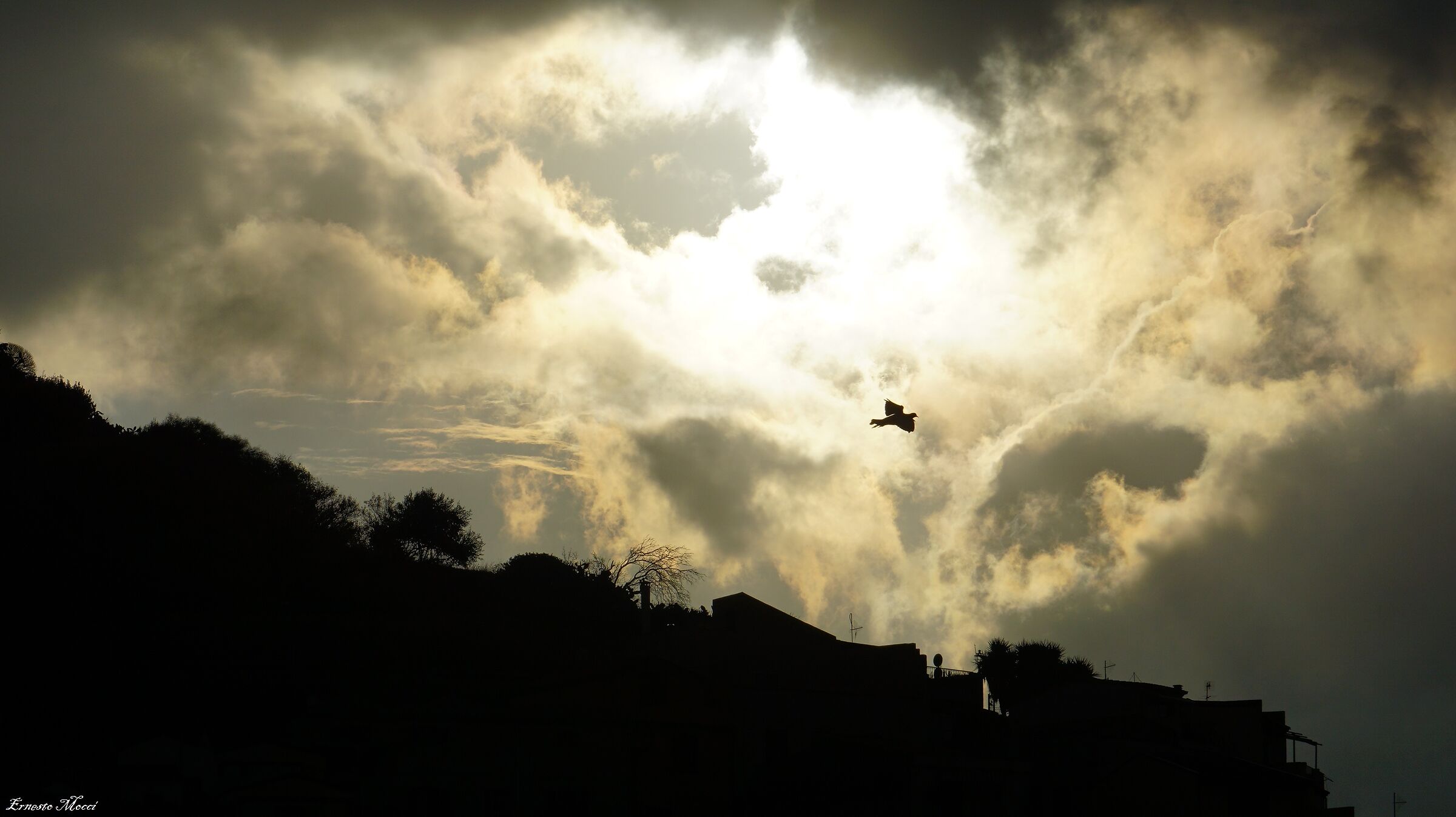 lift me up let me go