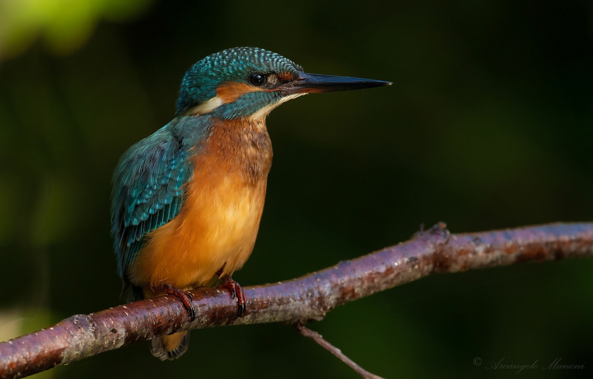 That martini mischievous