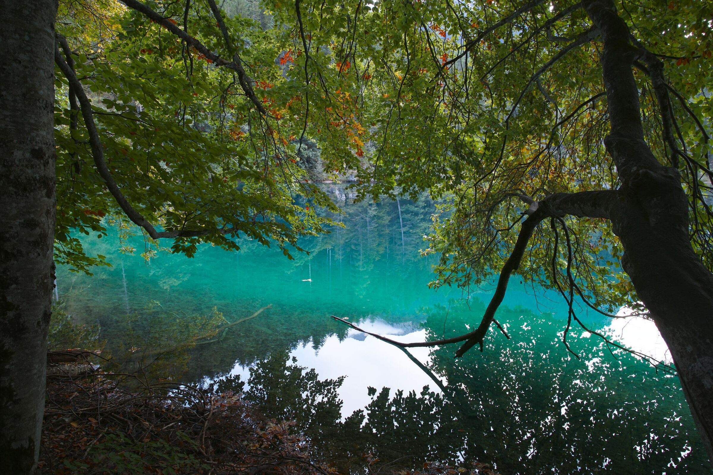 Lake Tovel (Tn) 24.09.19