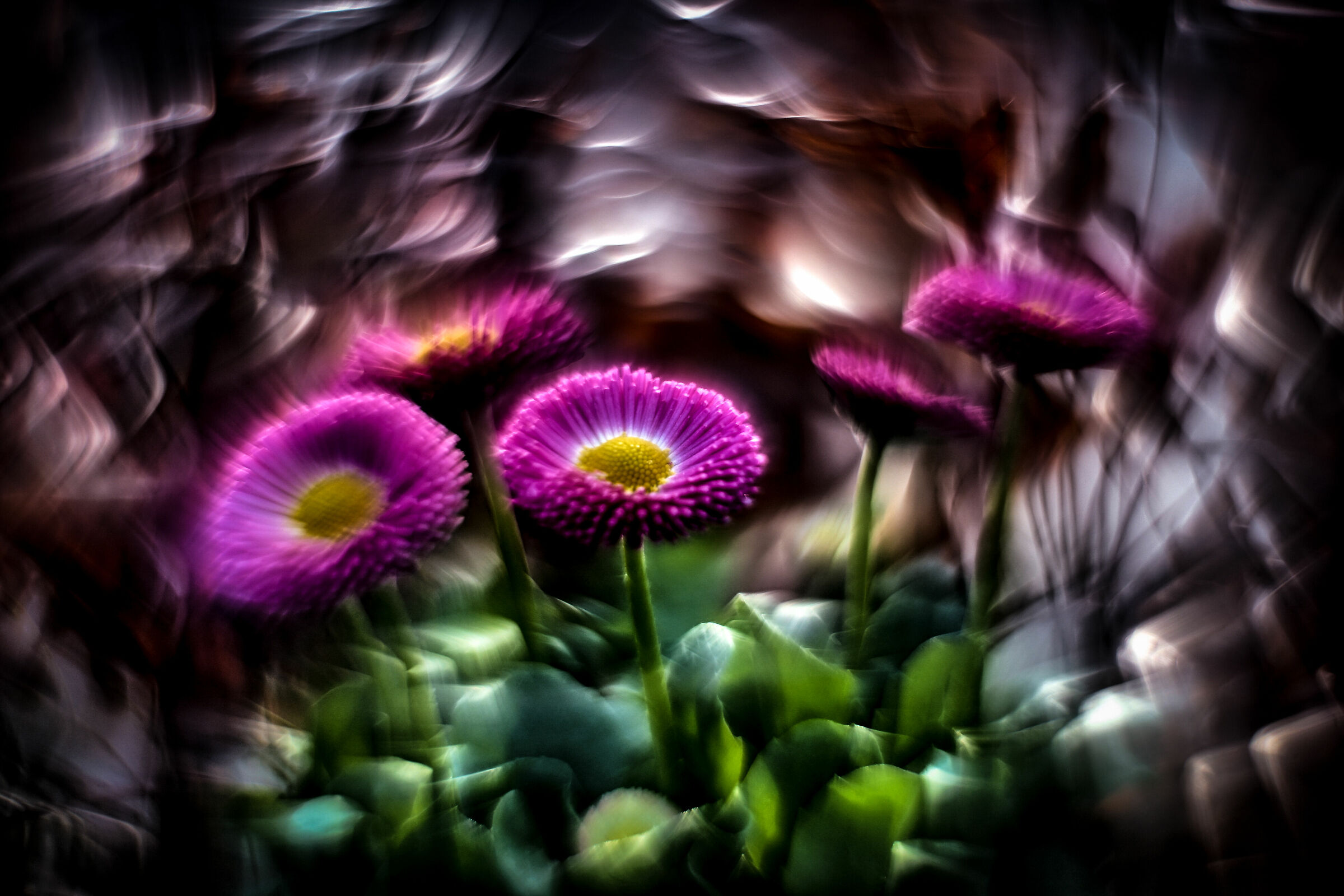 flowers in climate change era