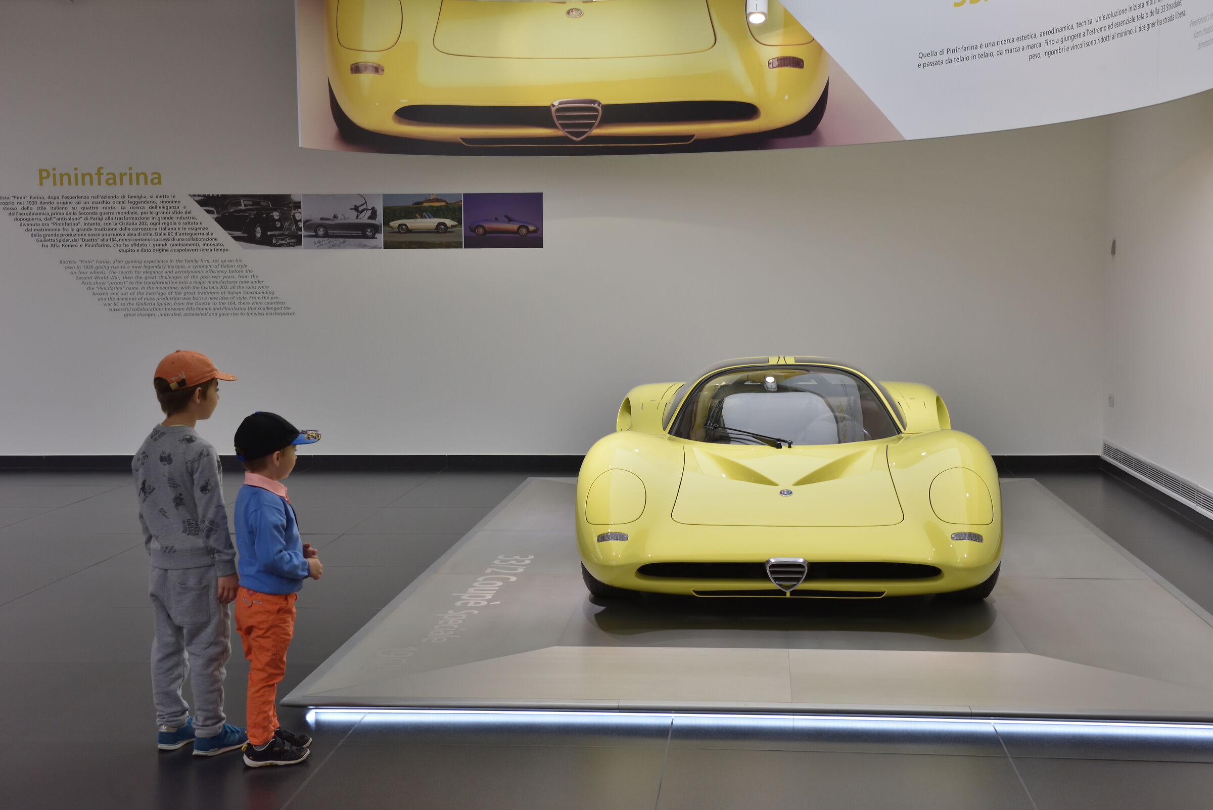 Small alfists grow. Museum A.R. - Arese.