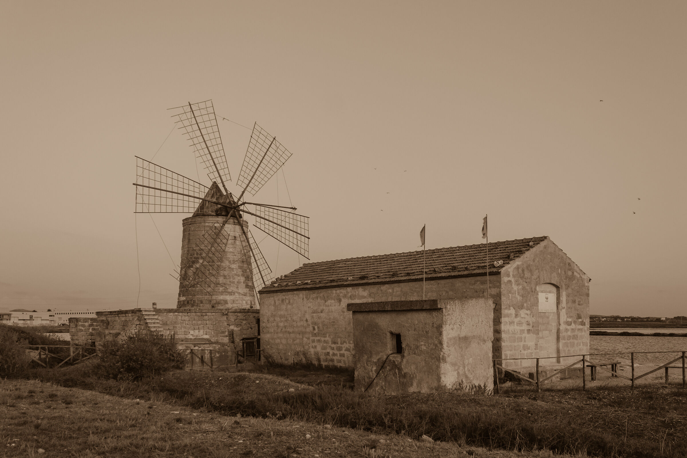 Trapani Saline