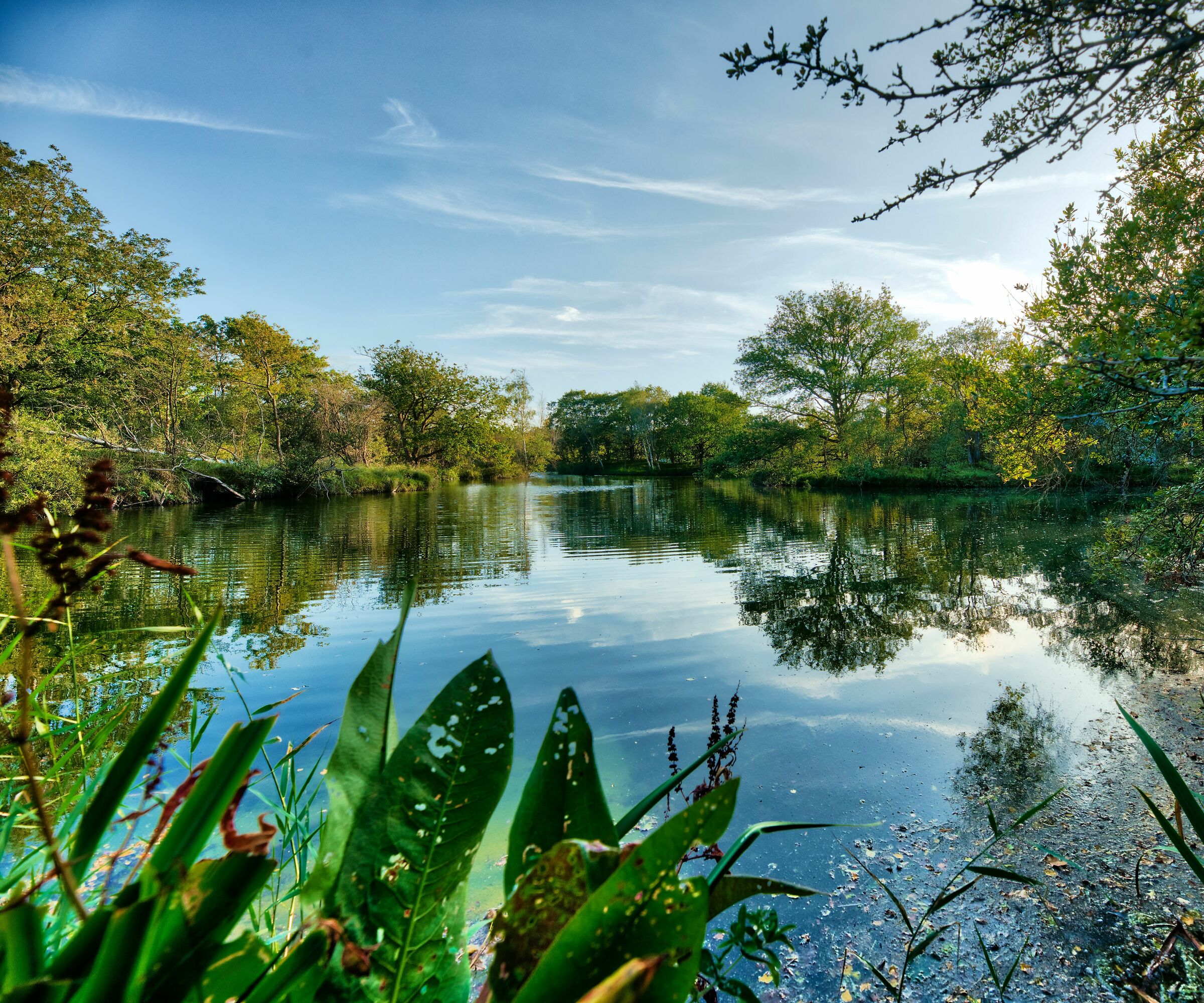 I micro laghi tra le dune