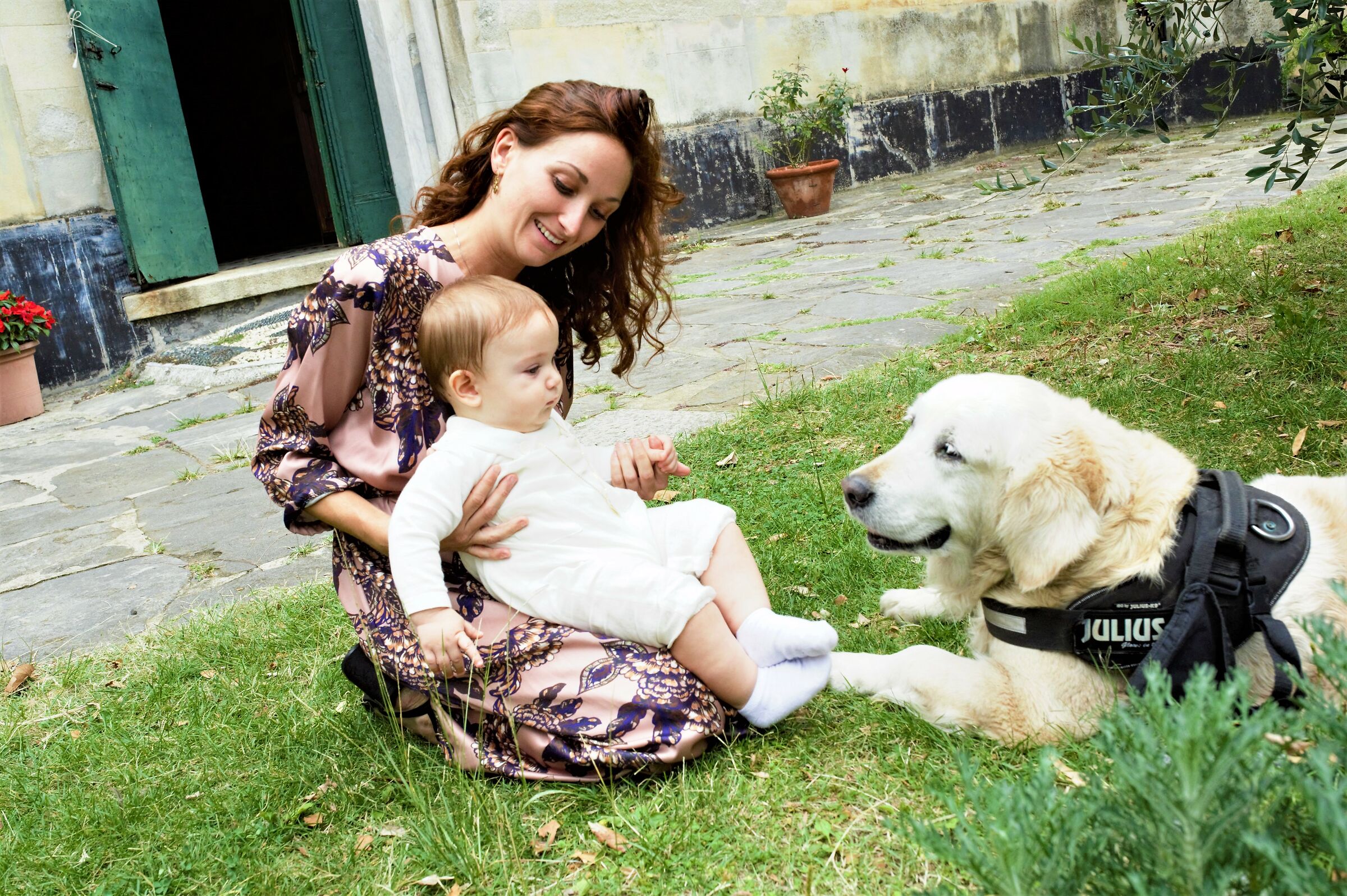 Ho, ho... I thought I saw a dog...