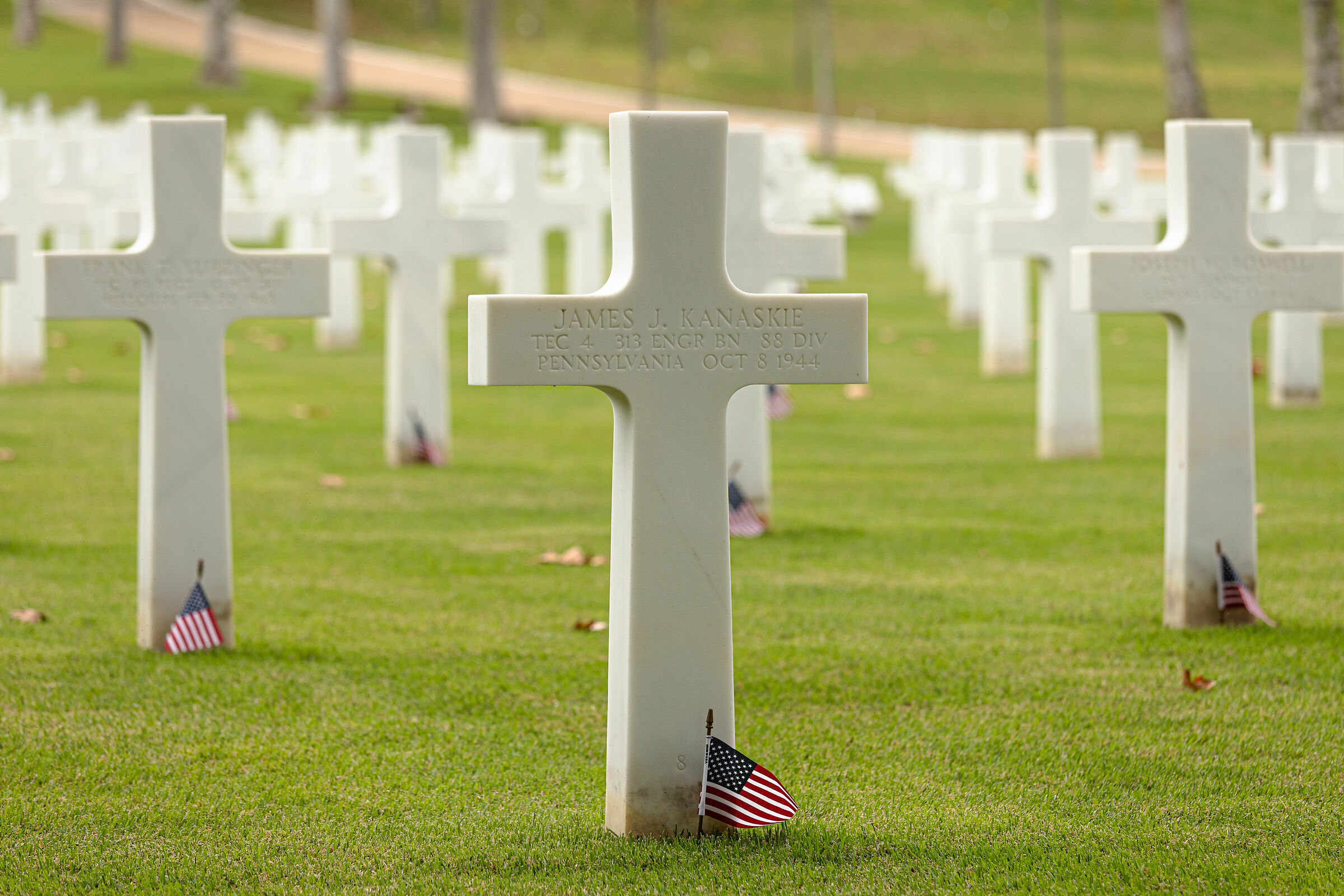 tra qualche giorno sarà l'8 ottobre