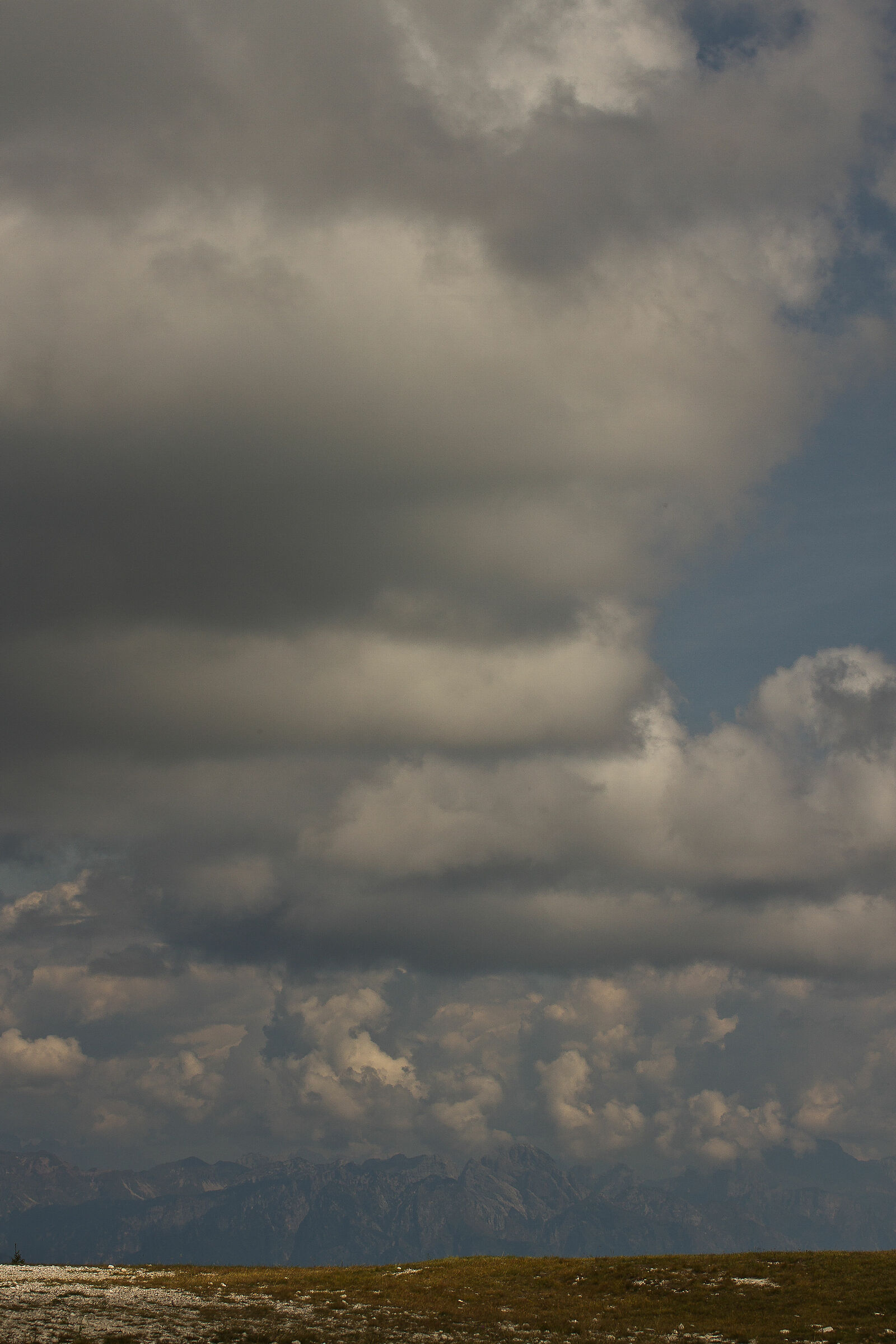 Untitled Photo