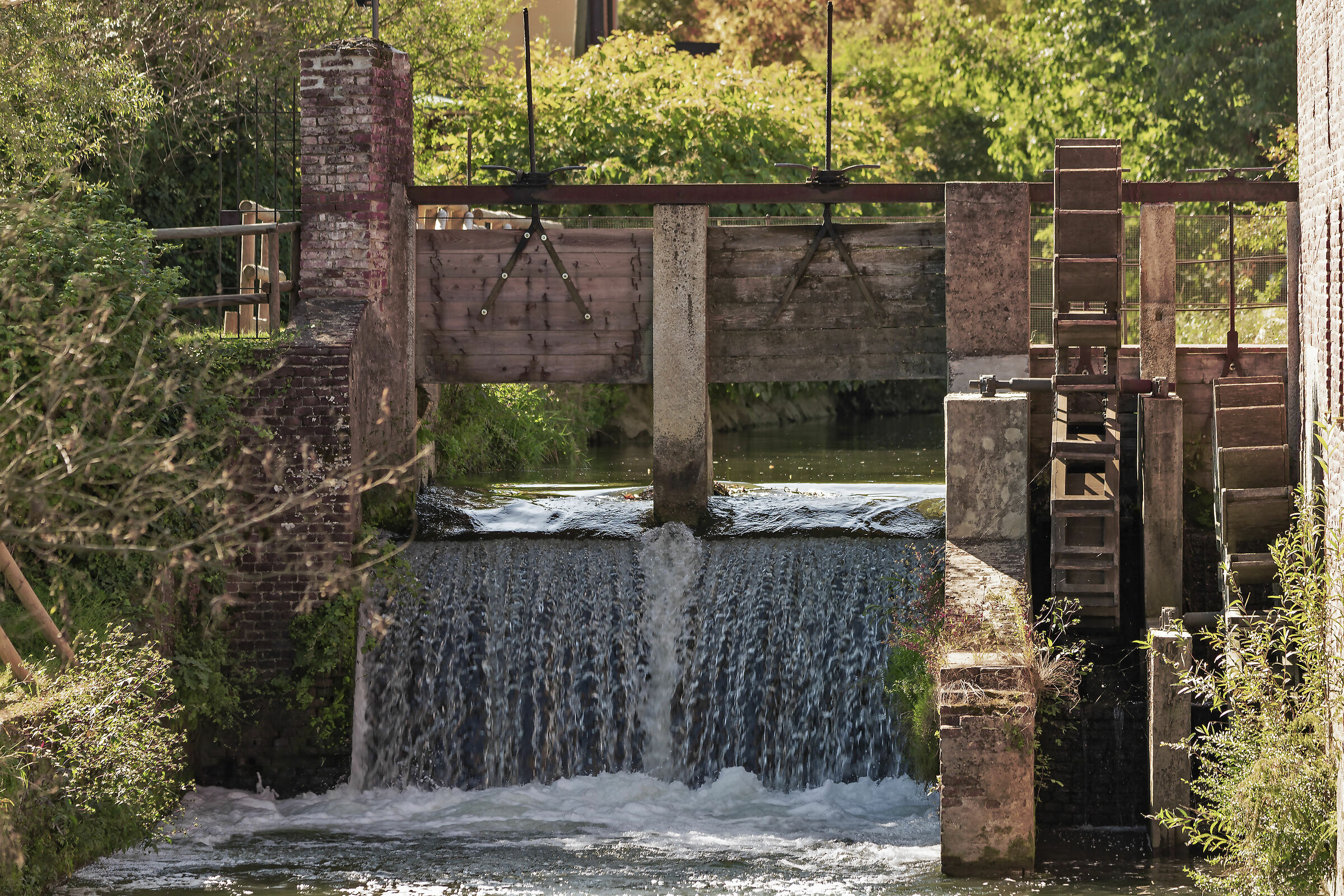 Fresh chiare et sweet waters
