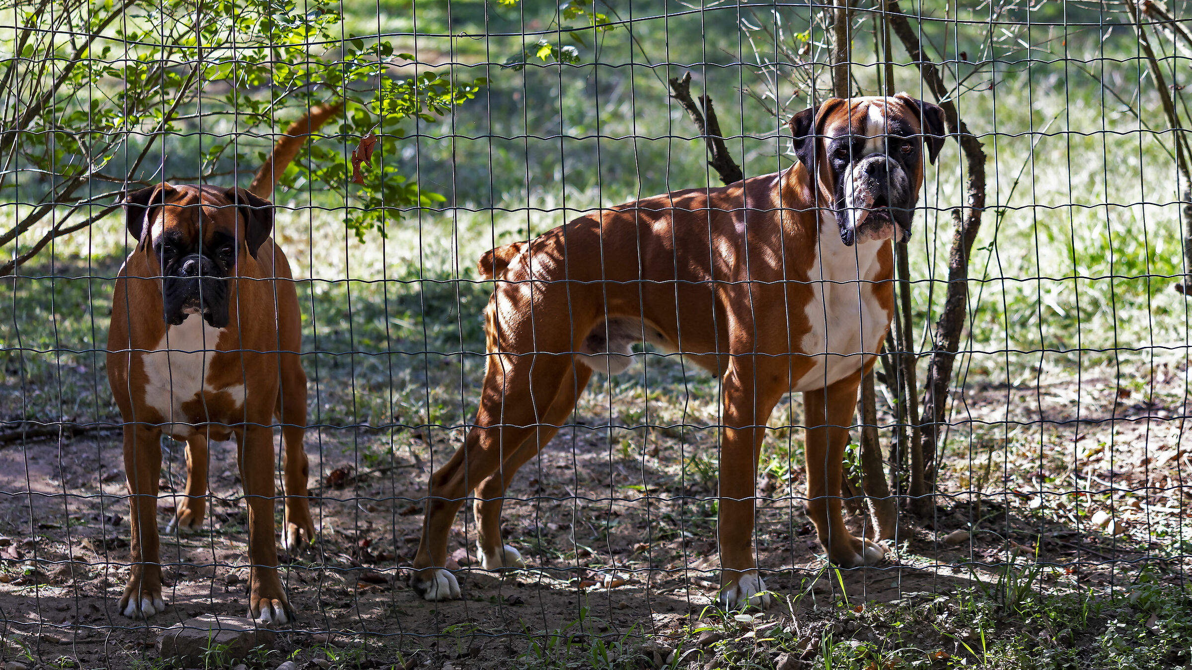 Siamo la coppia più bella del mondo