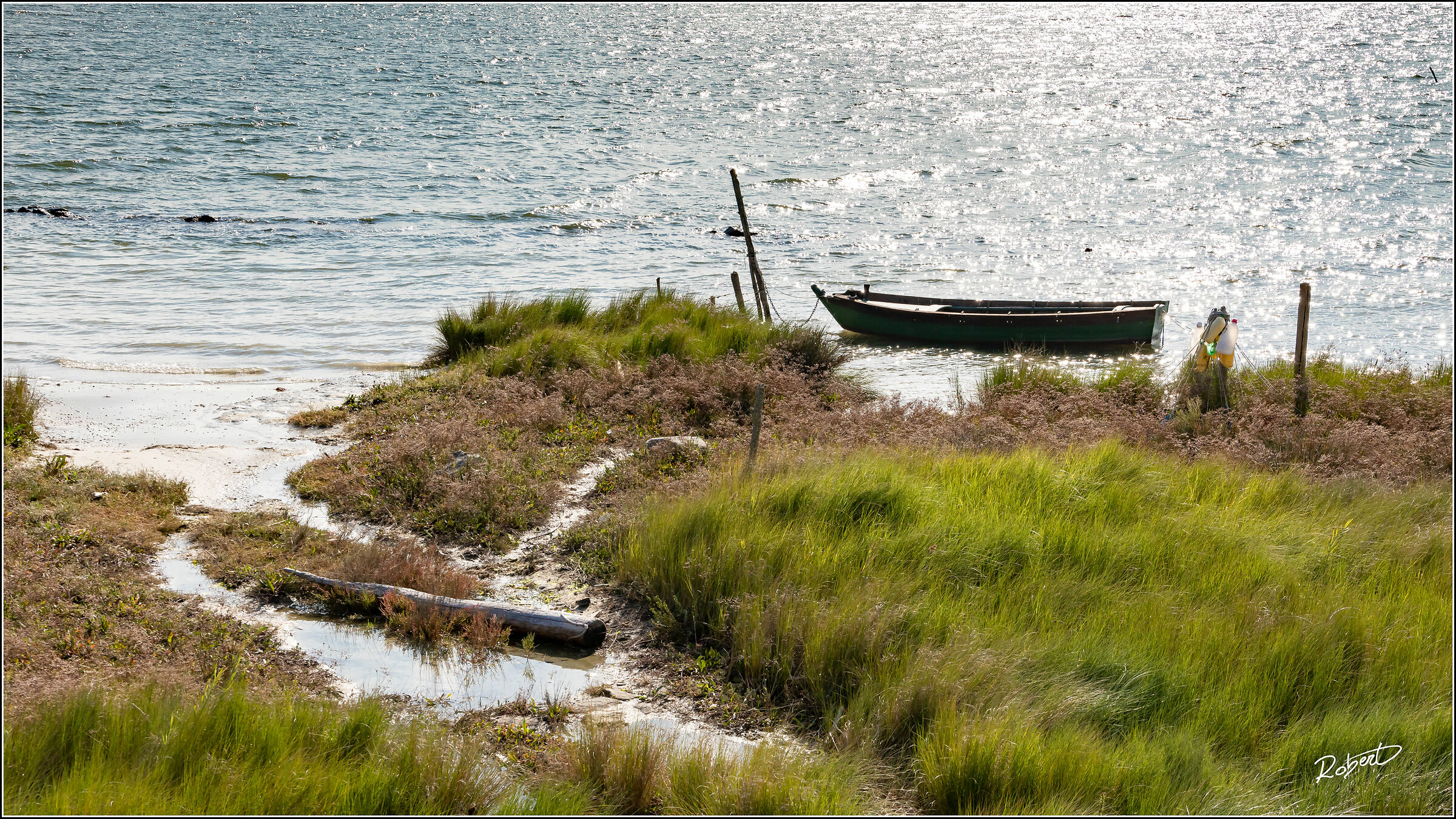 Sacca dei Scardovari