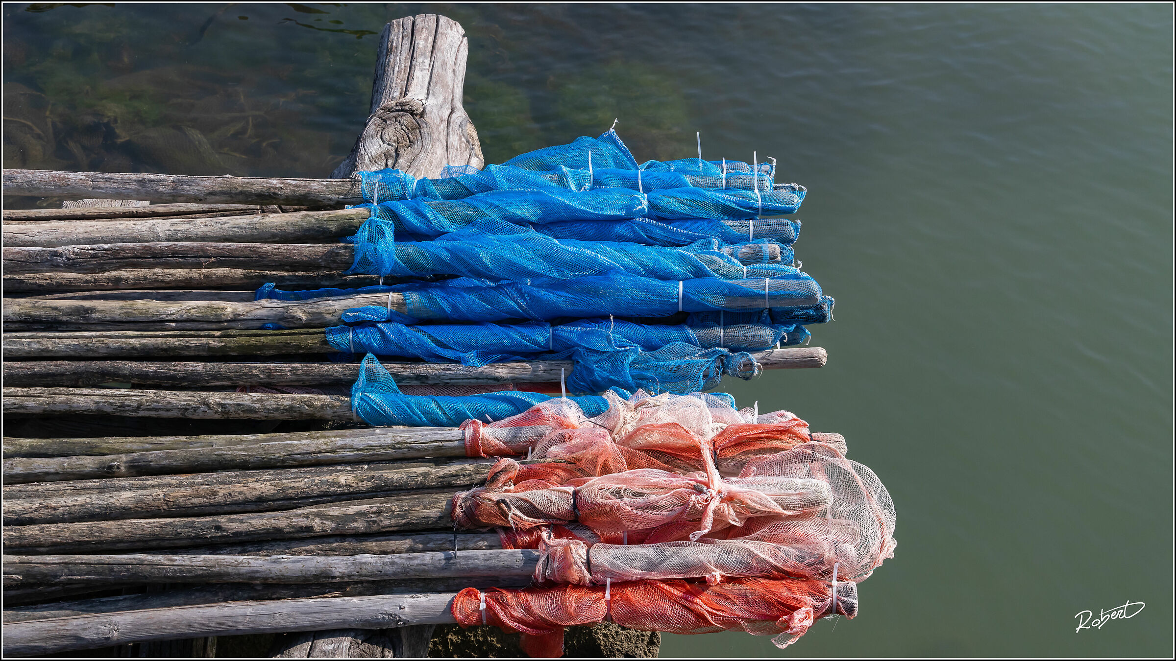 Sacca dei Scardovari