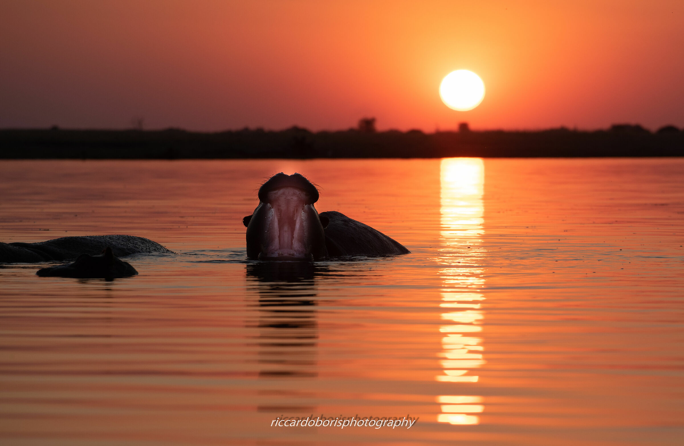 sbadiglio al tramonto