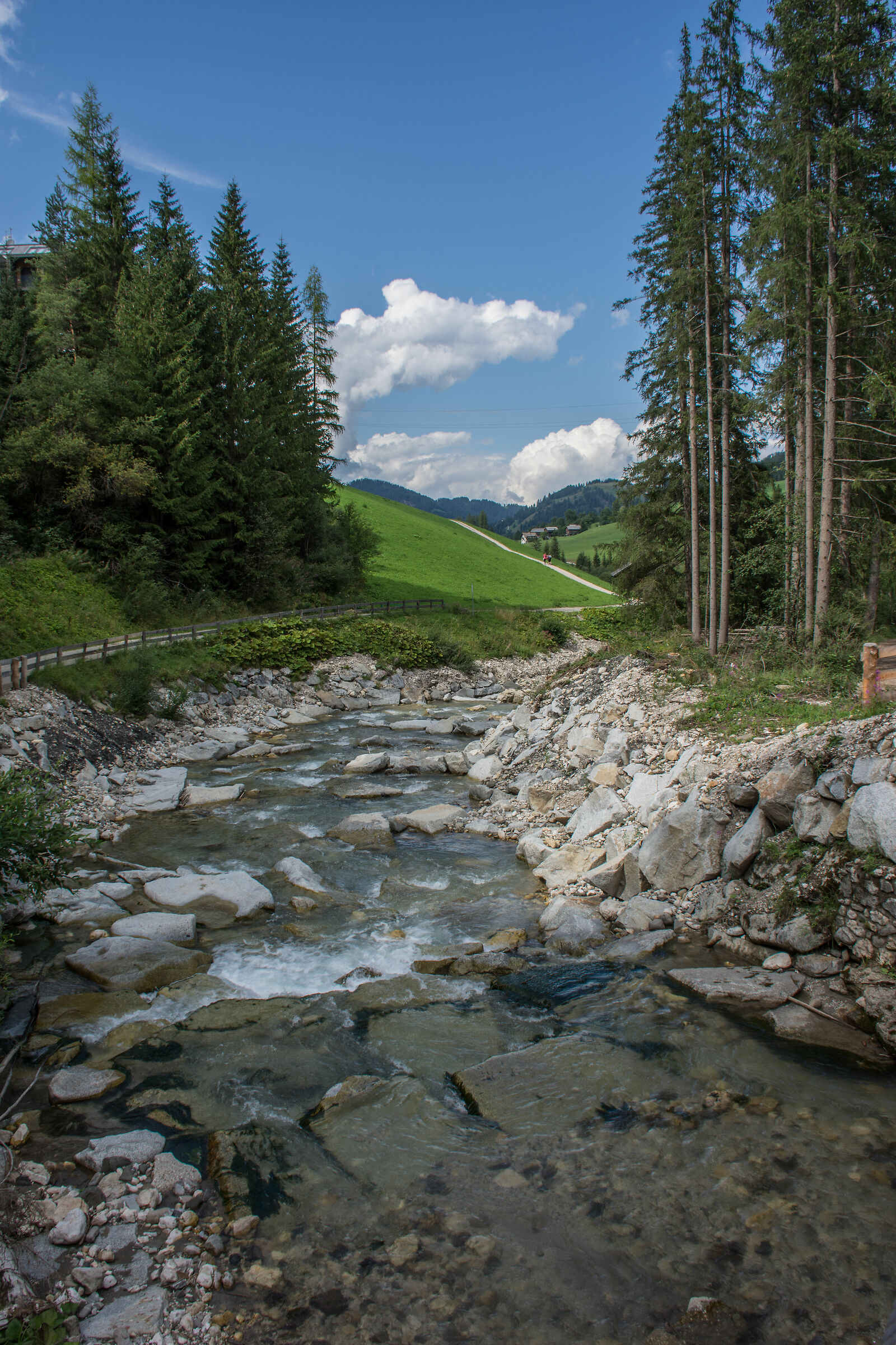 Untitled Photo
