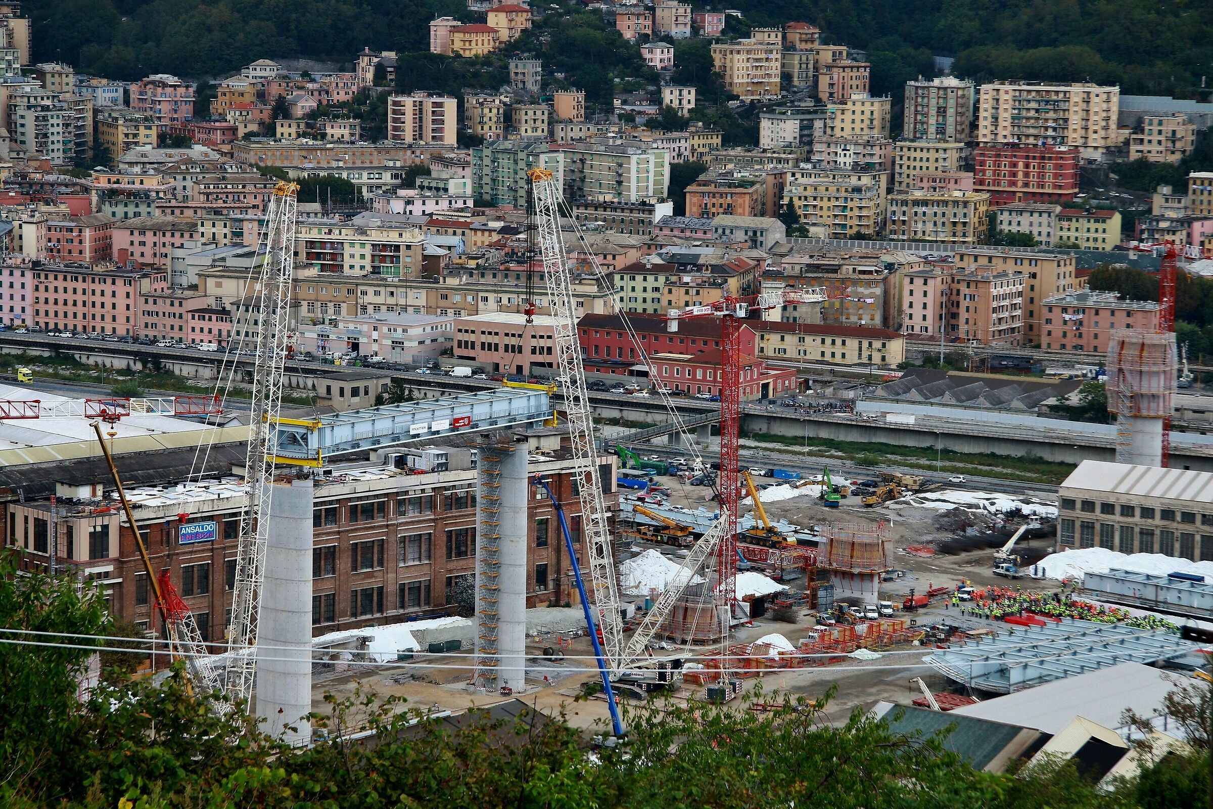 Genoa-reconstruction bridge