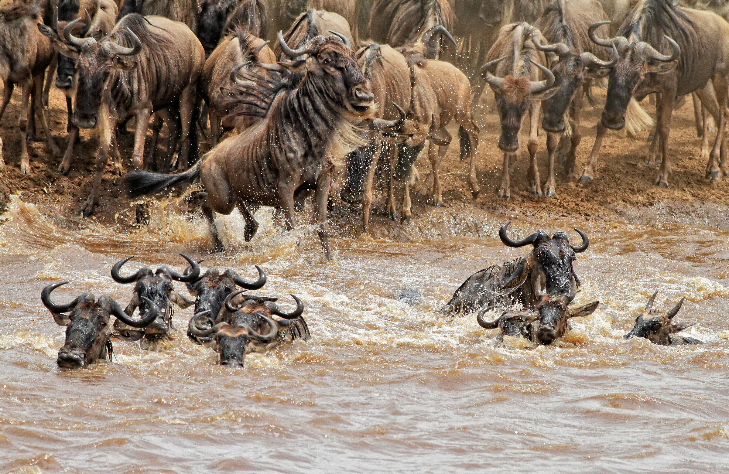 Mara crossing