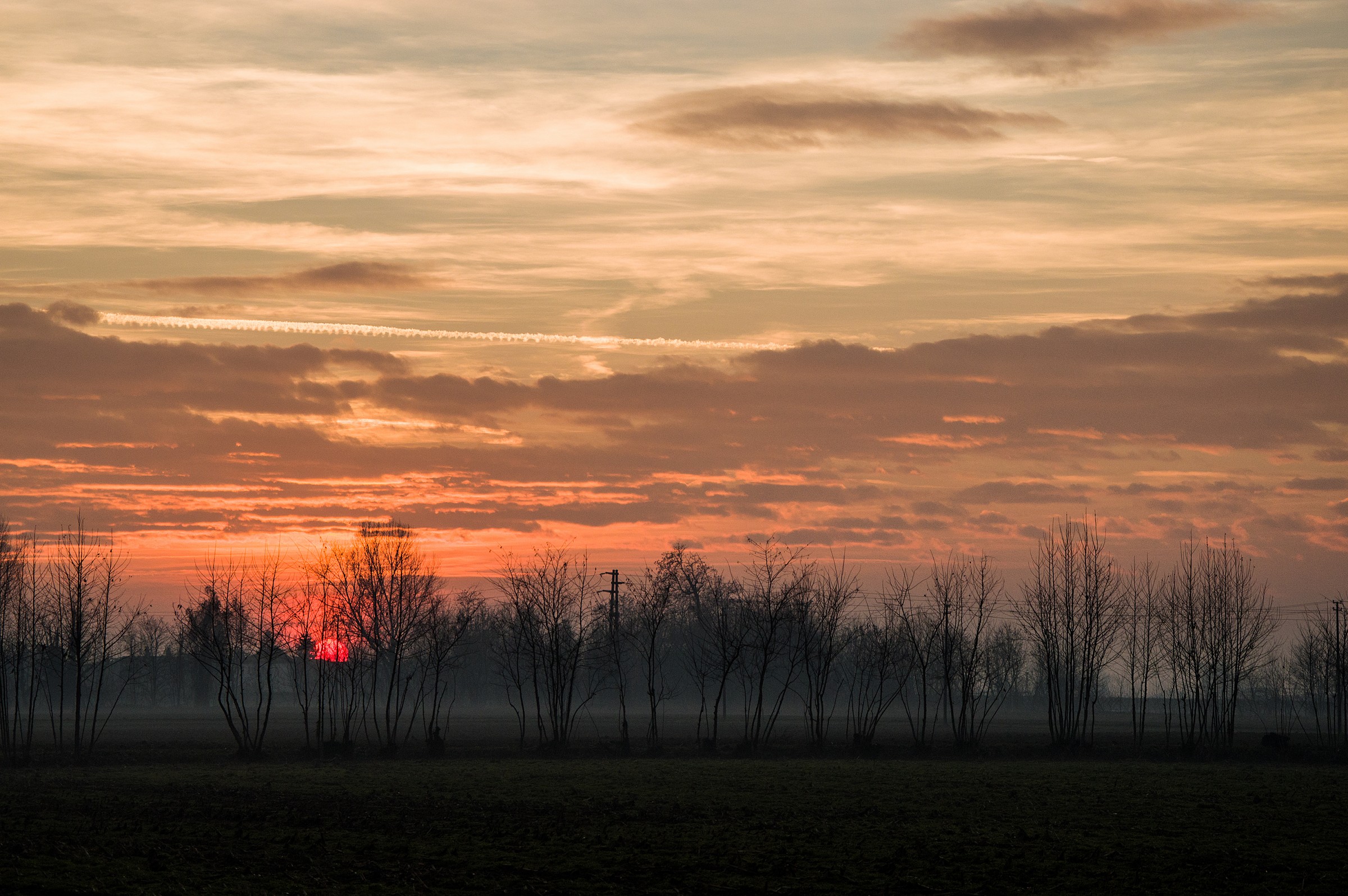 The decline of the Sun