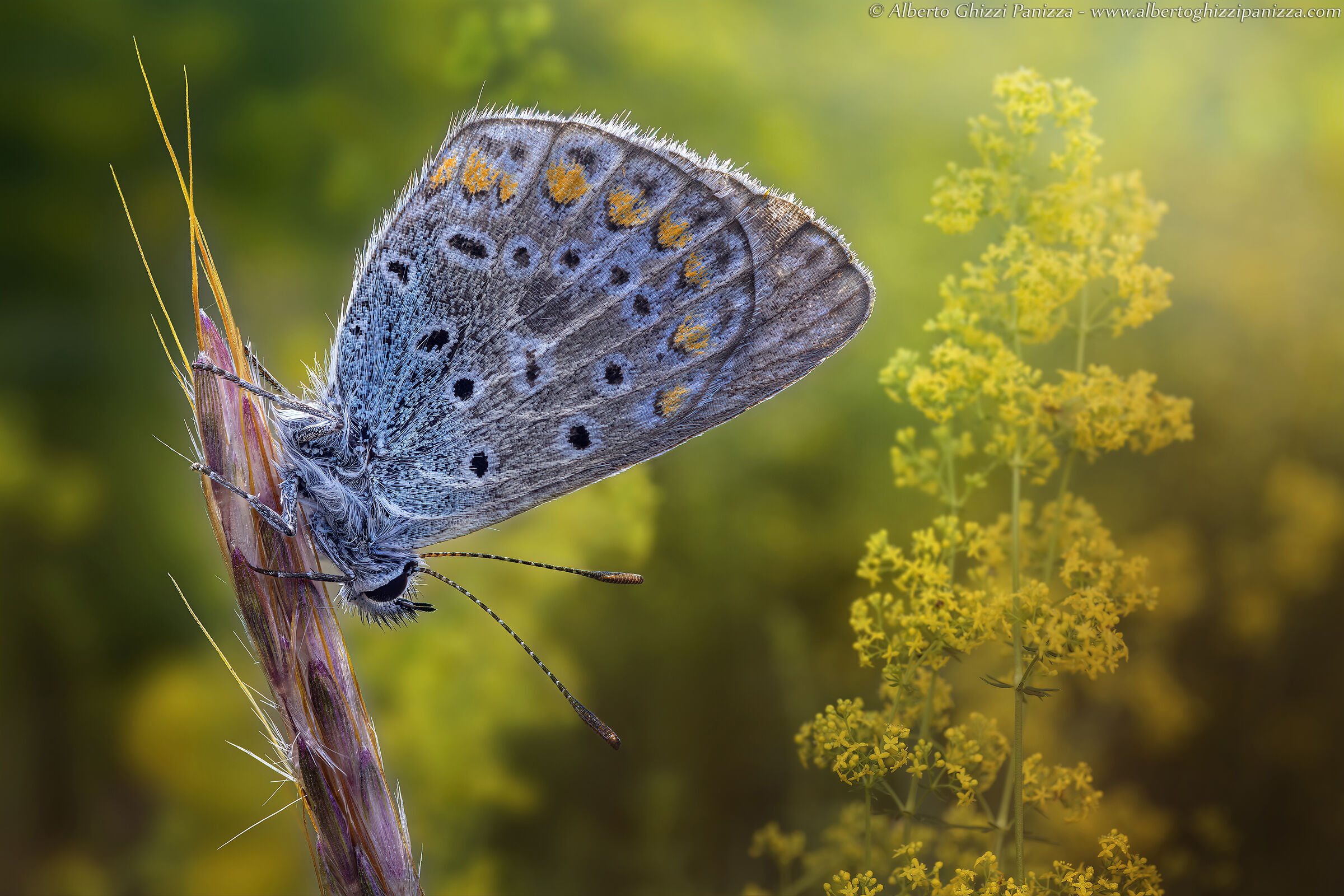 Tra i colori di ottobre