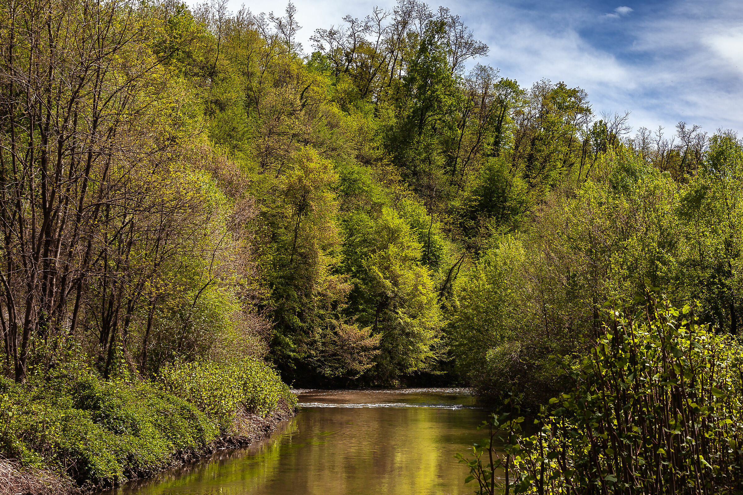 Glimpse along the old railway