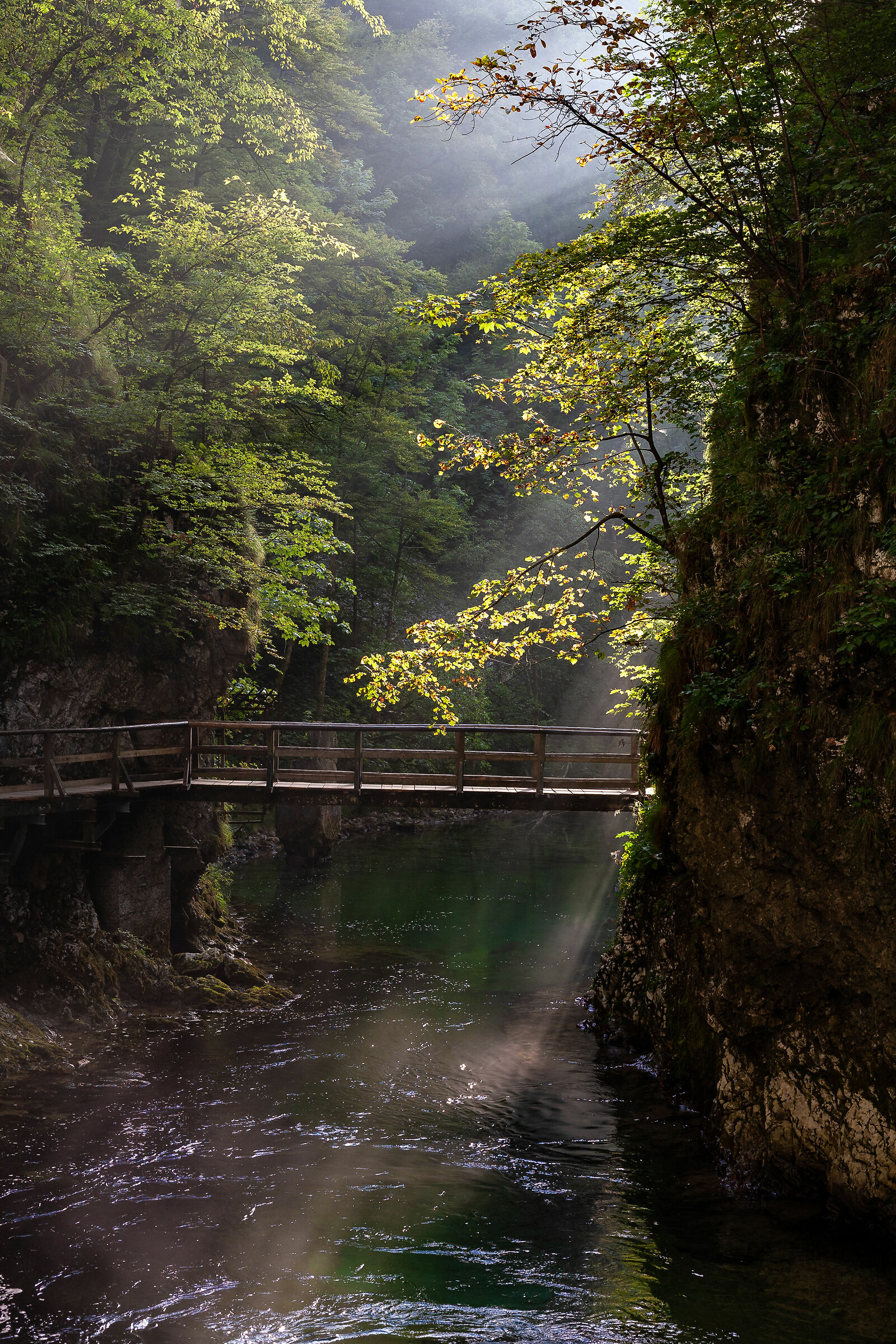 Sunrise at the Vintgar Gorges